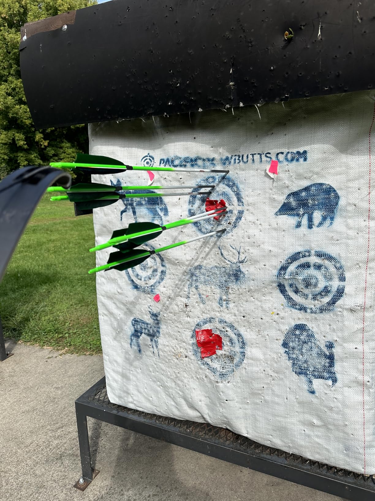 Linkboy Archery Carbon Arrows Hunting Practice Target Arrows Fluorescent with Removable Tip for Compound Recurve Long Bows, Spine 250 300 340 400 500 600 700 800, Pack of 6/12PCS customer photo 1