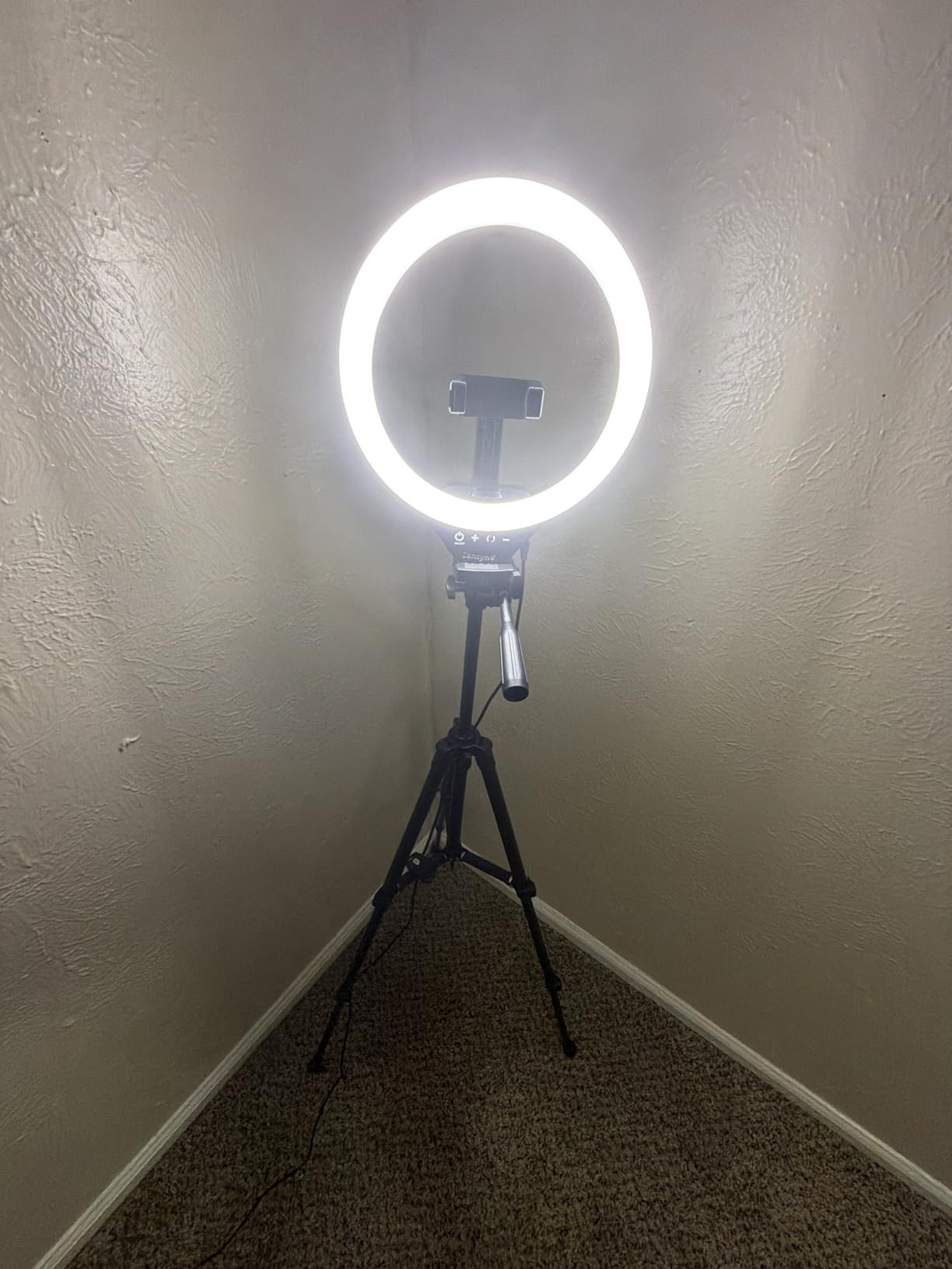 Sensyne Ring Light with Stand, 50