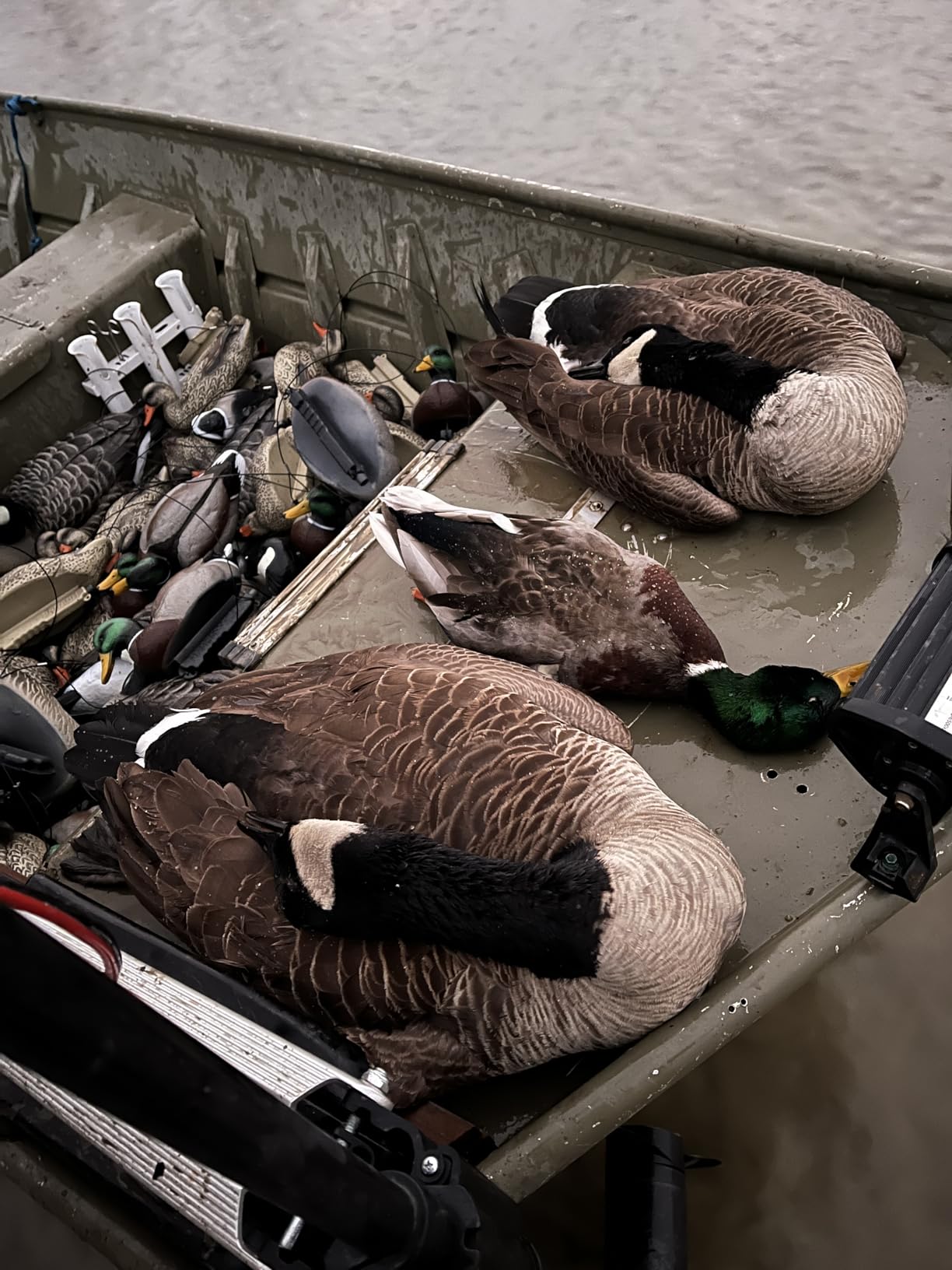 Final Approach Last Pass Mallard Floaters, Decoy 12 Pack customer photo 1