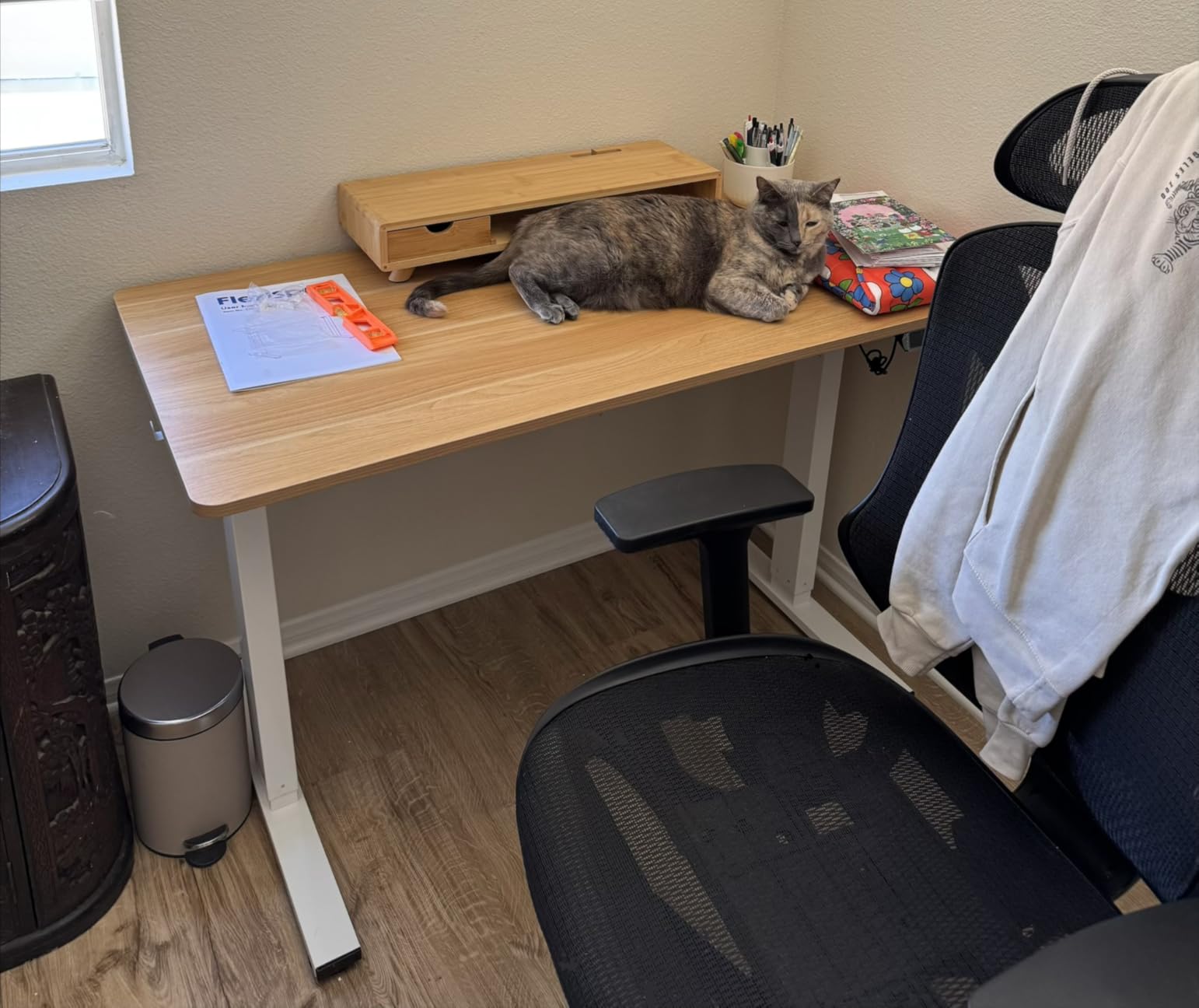 FLEXISPOT EN1 One-Piece Standing Desk, 48