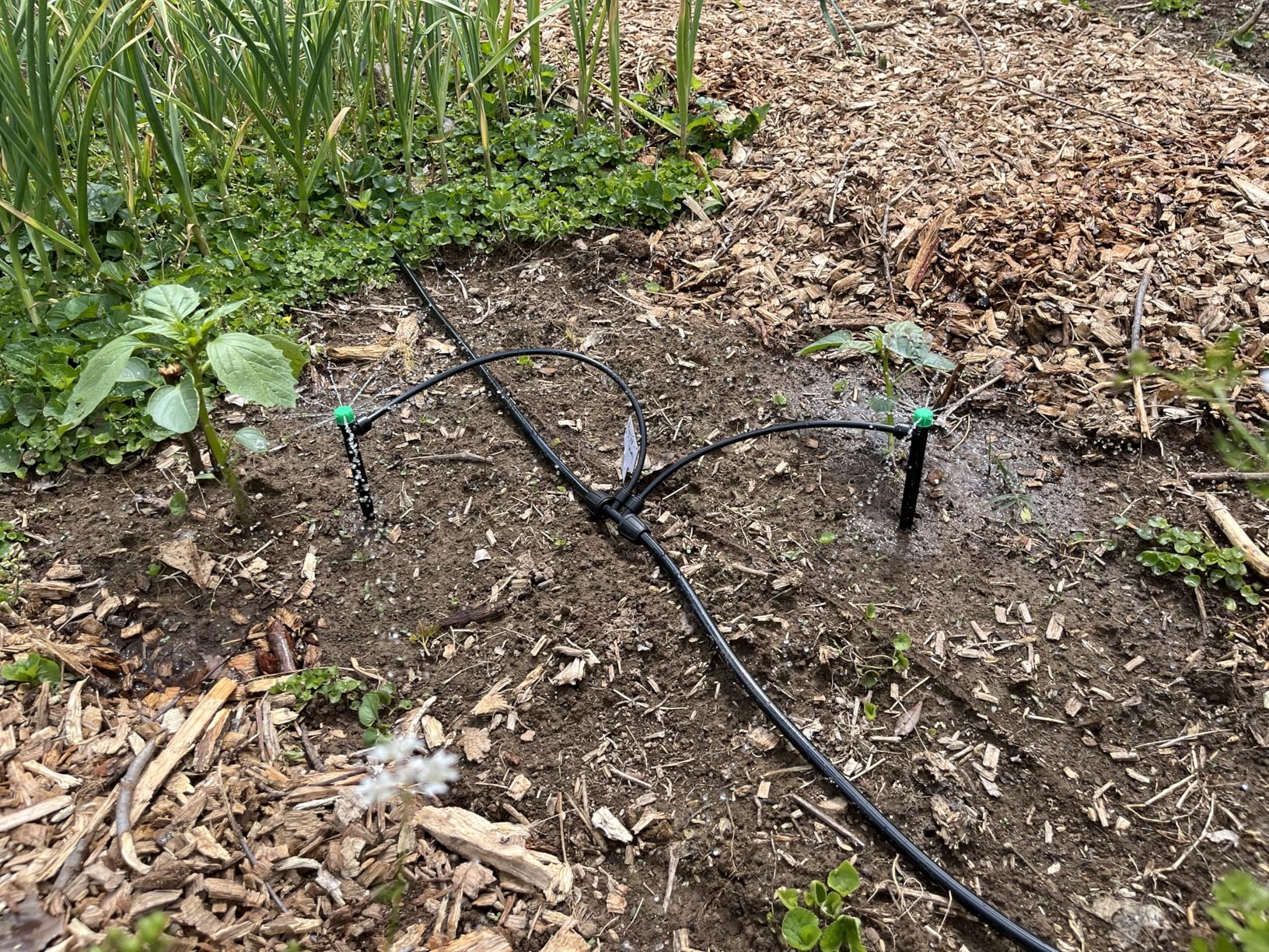 CARPATHEN Drip Irrigation System Kit - Complete Premium Garden Watering System with Adjustable Sprinkler Emitters, 5/16