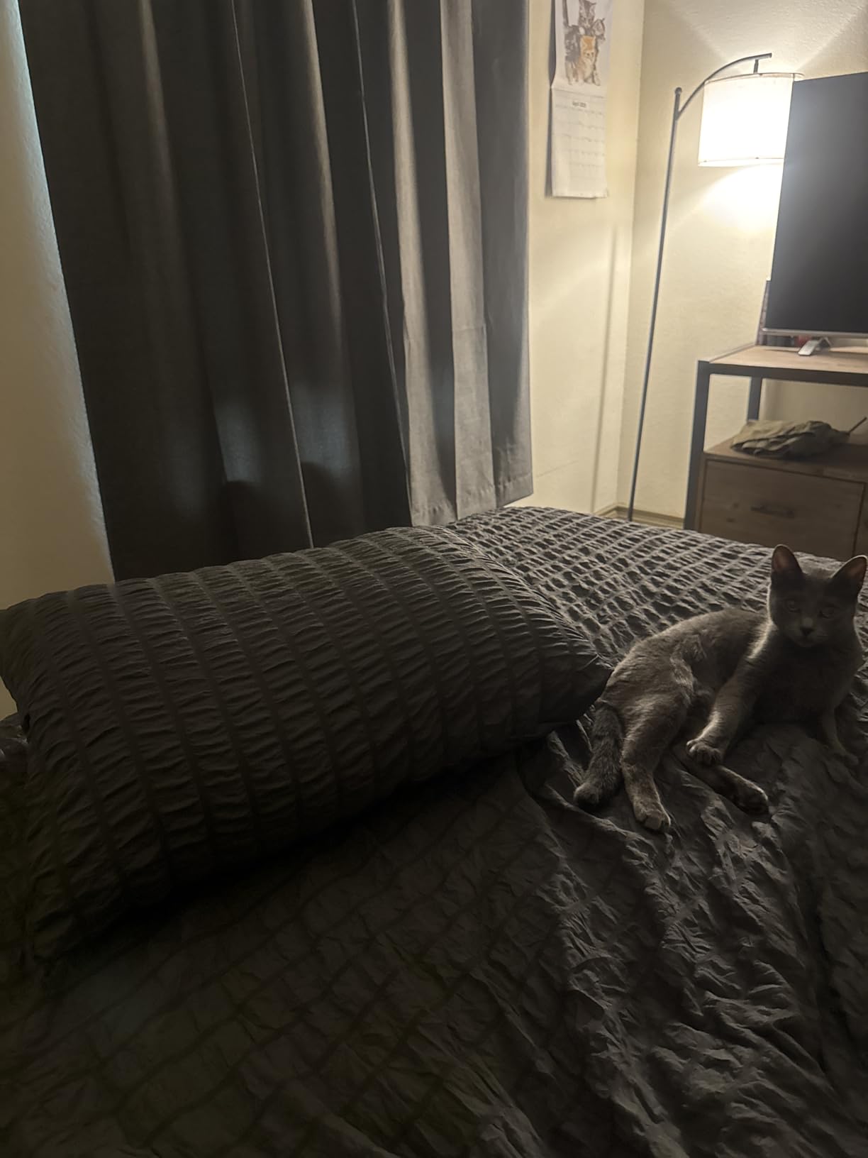 Utopia Bedding Down Alternative Bed Pillows for Sleeping Queen Size (White), Set of 2, Soft & Fluffy Pillow with Cooling, Hotel Quality, Gusseted Pillow for Back, Stomach or Side Sleepers customer photo 2