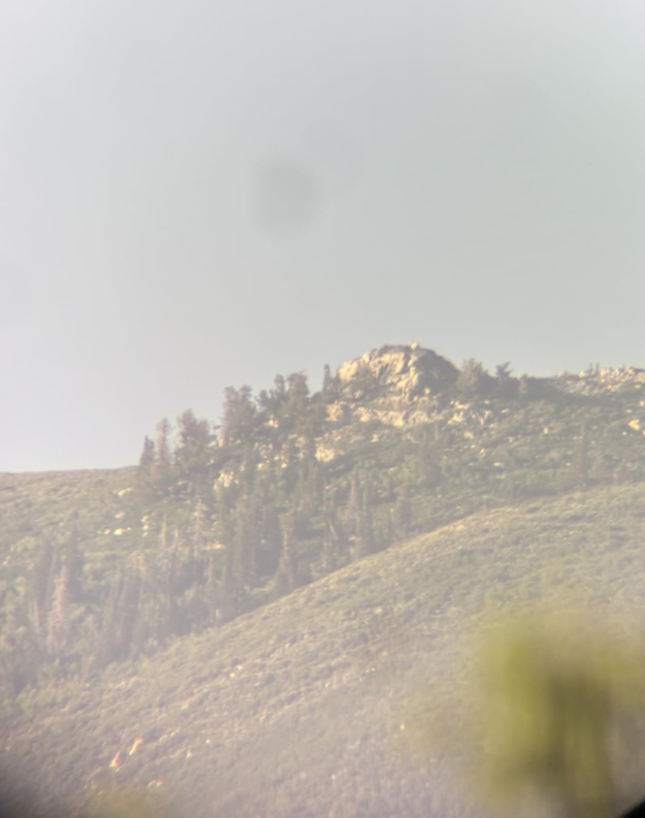 Vortex Optics Diamondback HD Spotting Scopes customer photo 2