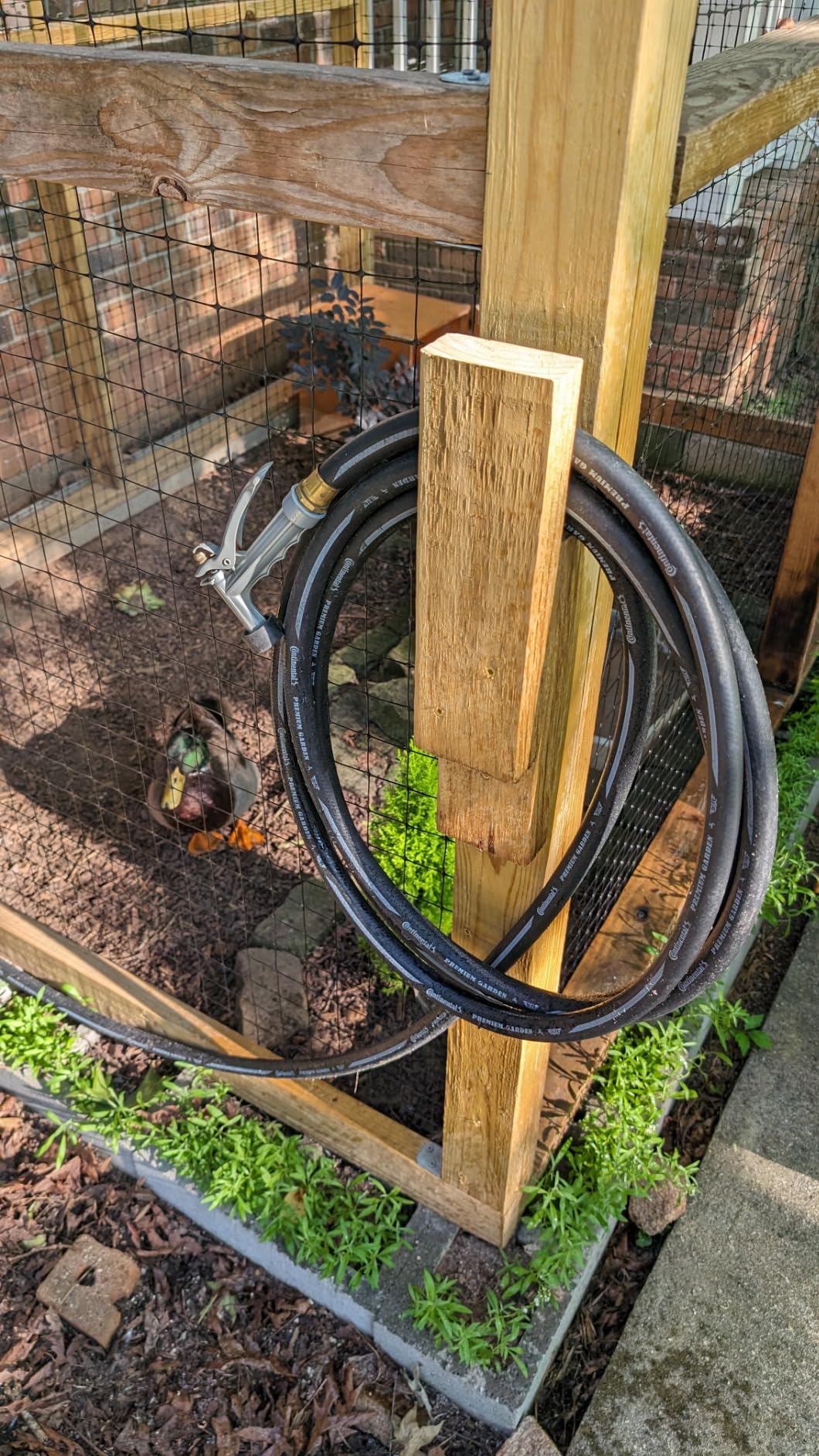 Continental Premium Garden Black Heavy Duty Cold Water Garden Hose, 5/8in Inside Diameter x 100ft Length, Male x Female Garden Hose Thread customer photo 1