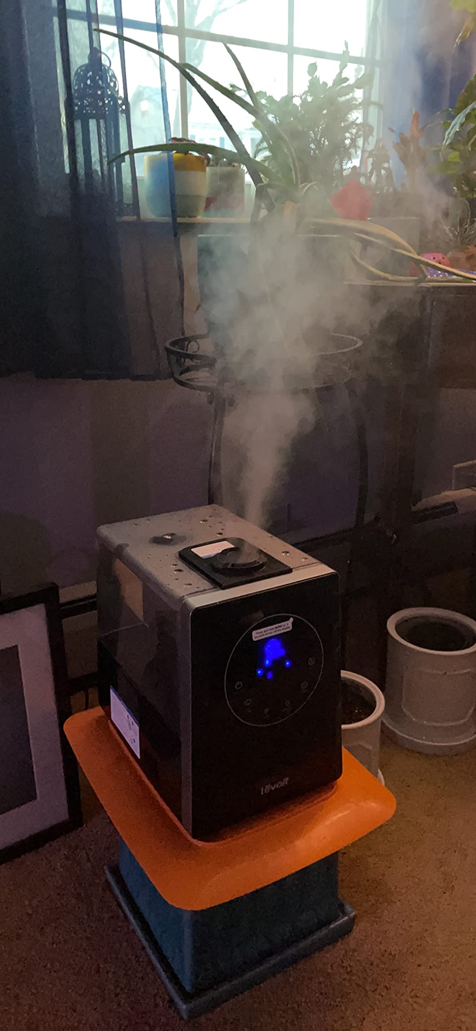 Levoit LV600HH 6L Warm and Cool Mist Ultrasonic Humidifier, Rapid Humidification for Bedroom Large Room, Essential Oil Diffuser, Humidity Setting with Built-in Sensor, Auto Mode, Timer, Remote Control customer photo 2