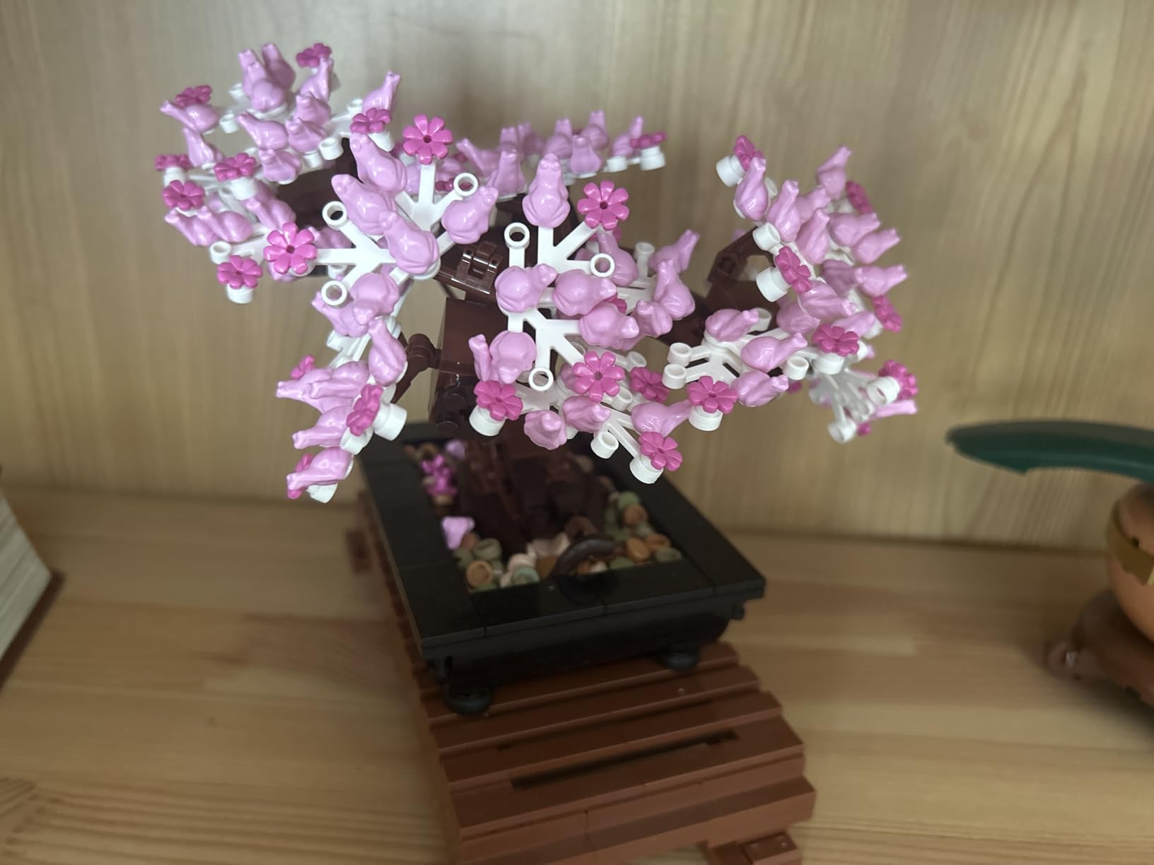 LEGO Botanicals Bonsai Tree Building Set - Artificial Bonsai Tree Plants for Home Decor, Adults Ages 18+ - Faux, Fake Plants for Table, Desk, Office - Birthday Gift for Men & Women - 10281 customer photo 2