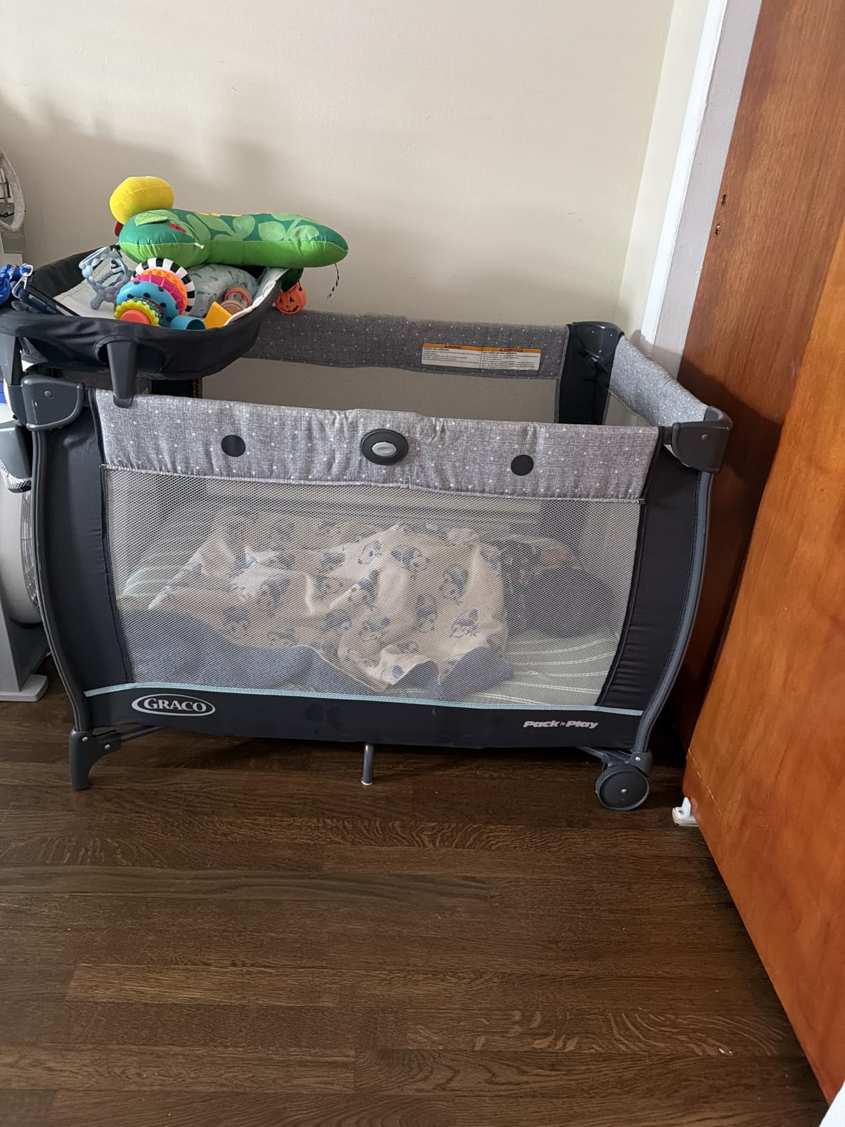 Graco Pack 'n Play Day2Dream Travel Bassinet Playard Features Portable Bassinet Diaper Changer and More customer photo 1