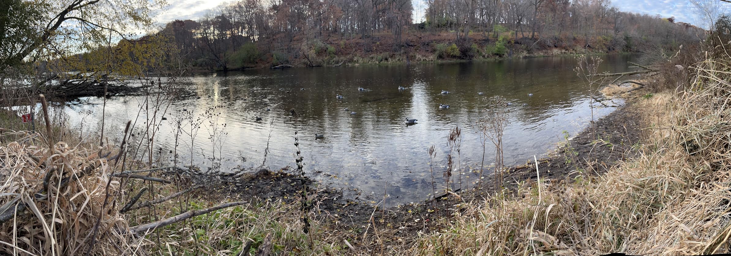 Final Approach Last Pass Canada Goose Floater Decoys, 6 Pack customer photo 2