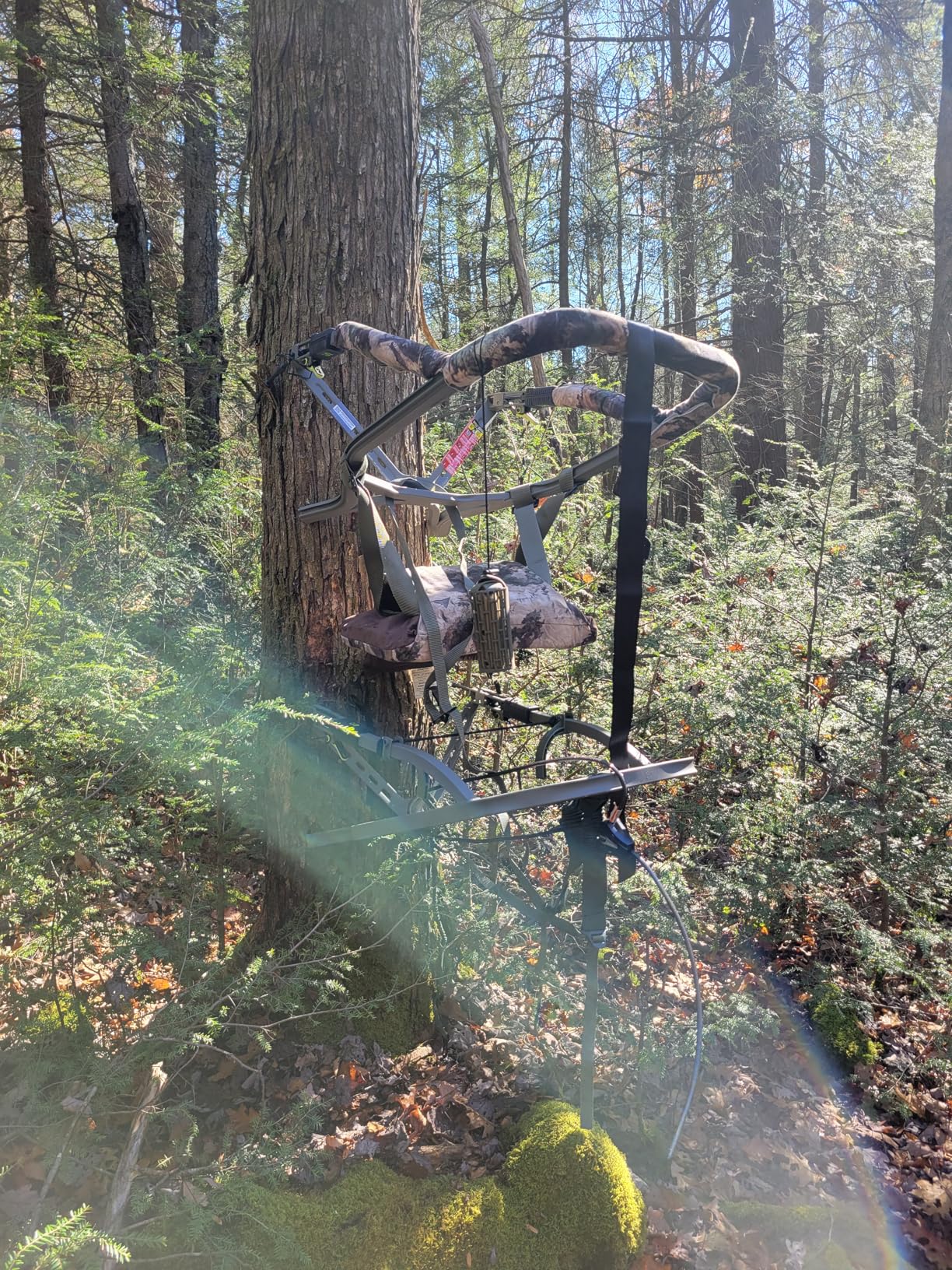 Summit Treestands Viper® PRO SD Climbing Treestand customer photo 1