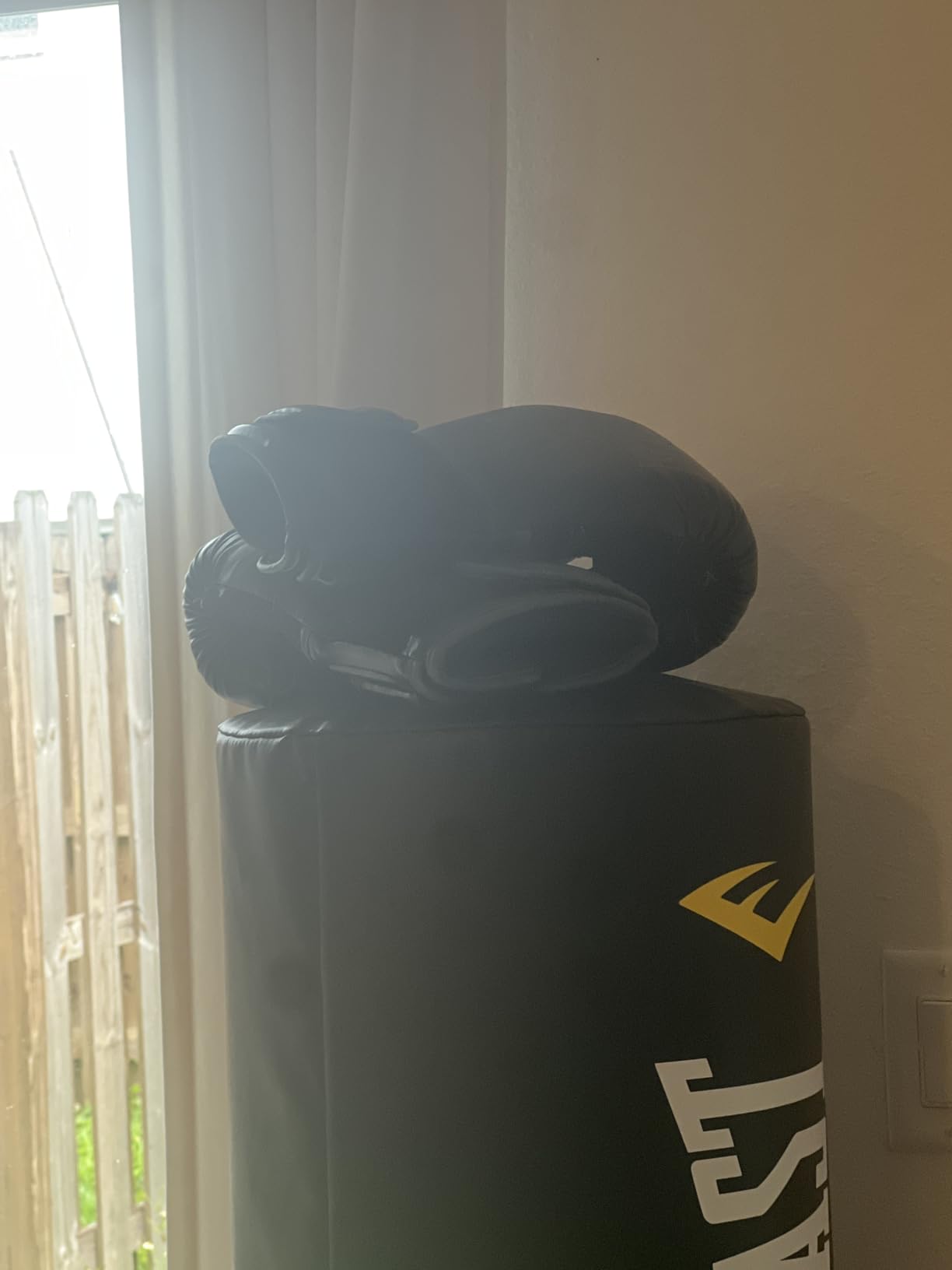 Everlast Powerlock 2 Hook & Loop Boxing Gloves | Fight Training Gloves | Hook and Loop with Durable Hand & Wrist Support | Heavy Bag & Fitness Training customer photo 1