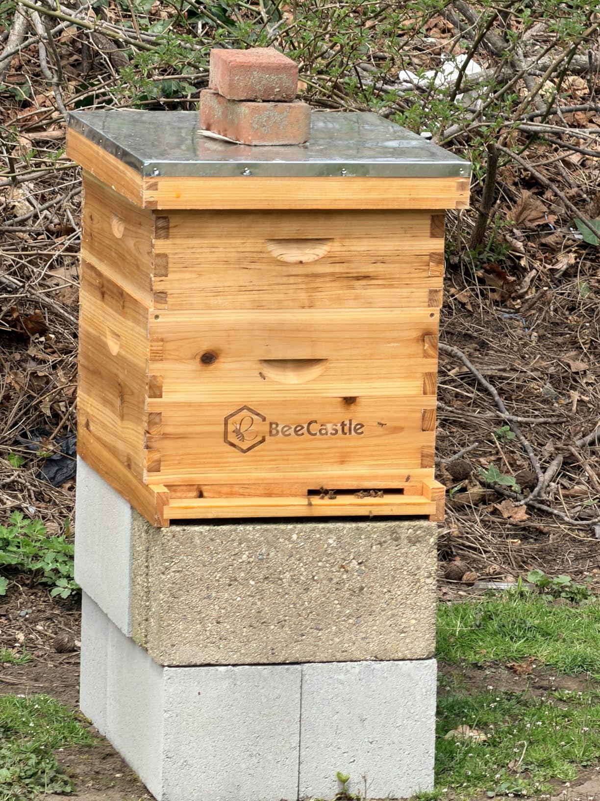 BeeCastle 10 Frame Langstroth Bee Hive Coated with Beeswax Includes Beehive Frames and Waxed Foundations (2 Deep Boxes & 1 Medium Box) customer photo 2
