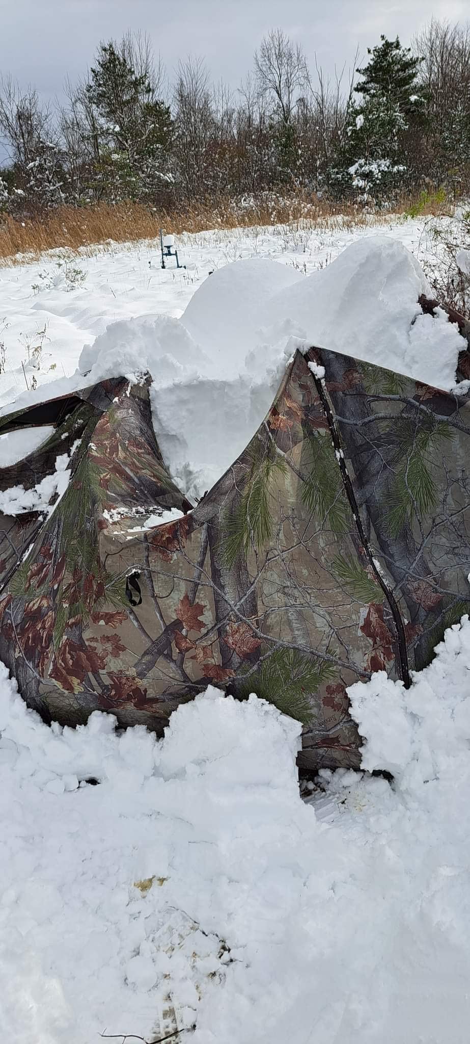 Barronett Blinds Feather Five, Portable Hunting Blind, Huge Interior, Lightweight, 4-Person, Bloodtrail Backwoods customer photo 1