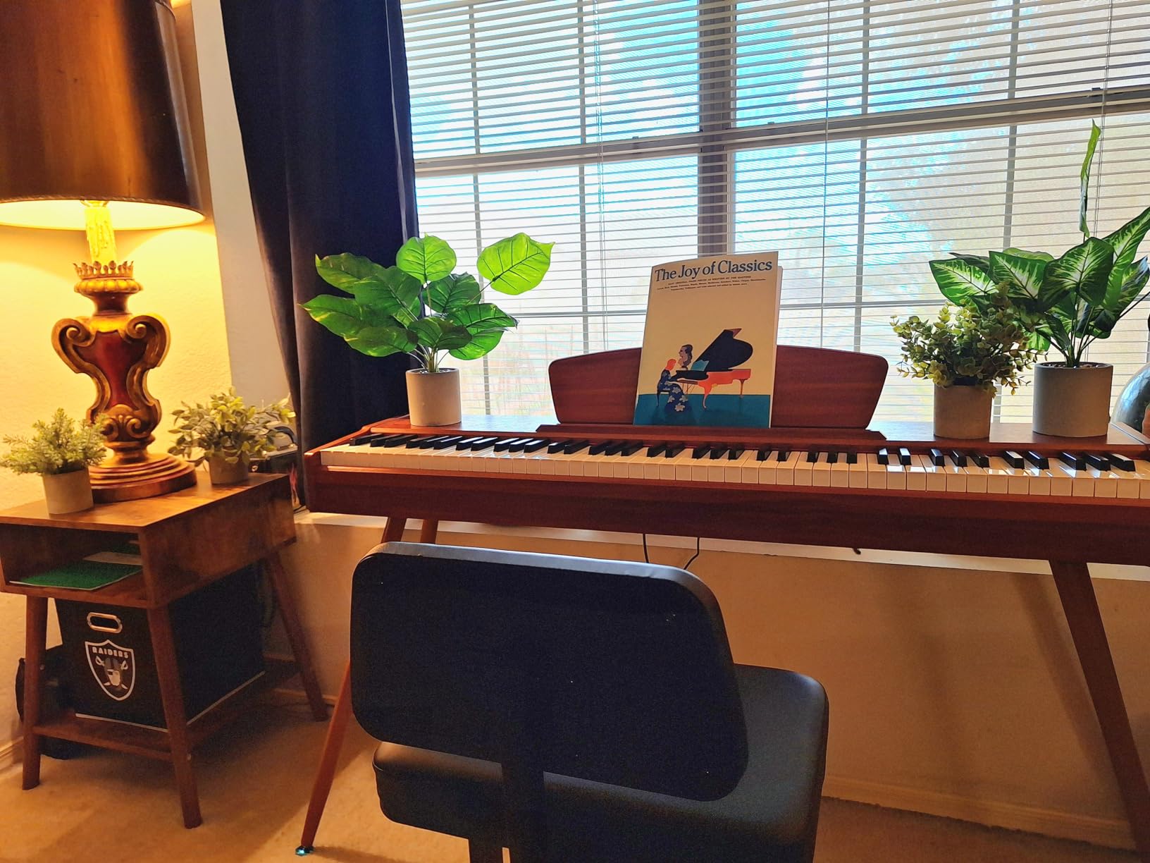 Donner DDP-80 Digital Piano 88 Key Weighted Keyboard, Full-size Electric Piano for Beginners, with Sheet Music Stand, Triple Pedal, Power Adapter, Retro Wood Color customer photo 2