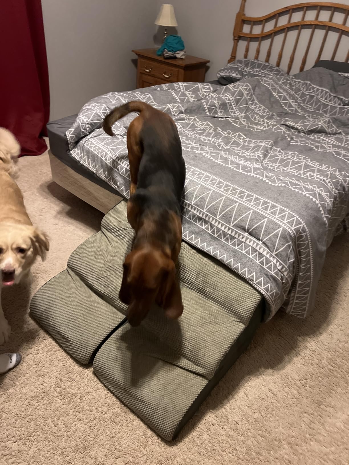 MEJYJEM 3 Steps High Density Foam Dog Stairs Ramps, Non-Slip Pet Steps for Older Dogs, Pet with Joint Pain, Sofa Bed Ladder for Cats customer photo 2