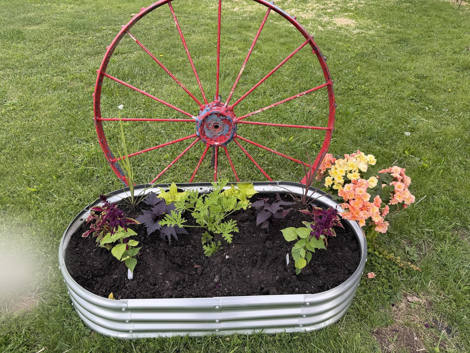 Land Guard Galvanized Raised Garden Bed Kit, Galvanized Planter Garden Boxes Outdoor, Oval Large Metal Raised Garden Beds for Vegetables customer photo 2