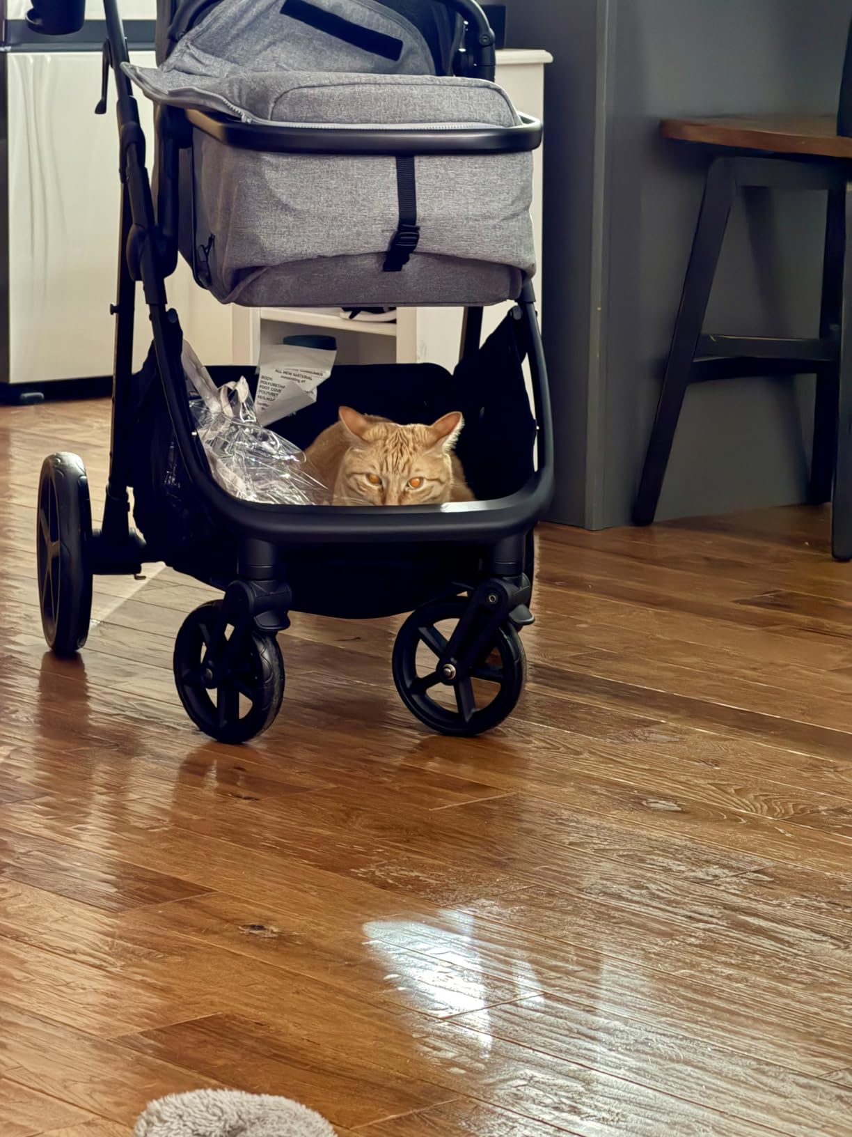 Mompush Wiz 2 in 1 Baby Stroller with Infant Pramette Mode, One Hand Fold Convertible Newborn to Toddler Stroller with Reversible Seat and Large UPF 50+ Canopy customer photo 1