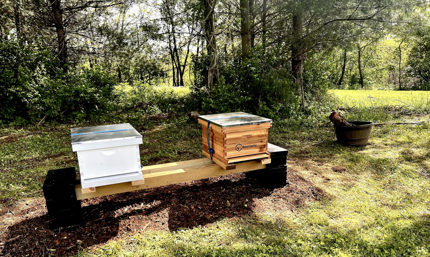 BeeCastle 10-Frame Bee Hives and Supplies Starter Kit, Beehive Kit Dipped in 100% Beeswax, Bee Keeping Supplies - All Beginners Kit Includes Beekeeping Supplies Tool Set and Bee Suit customer photo 1
