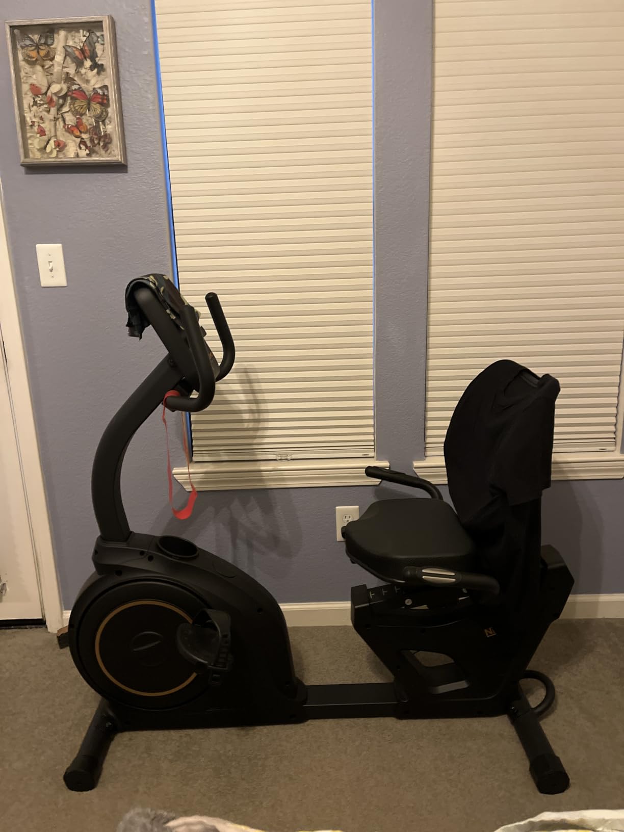 Niceday Recumbent Exercise Bike, Recumbent Bike for Home, Recumbent Stationary Bike 400LBS Weight Capacity, Magnetic Recumbent Bike with Smart APP, LCD Monitor, Heart Rate Handle customer photo 1