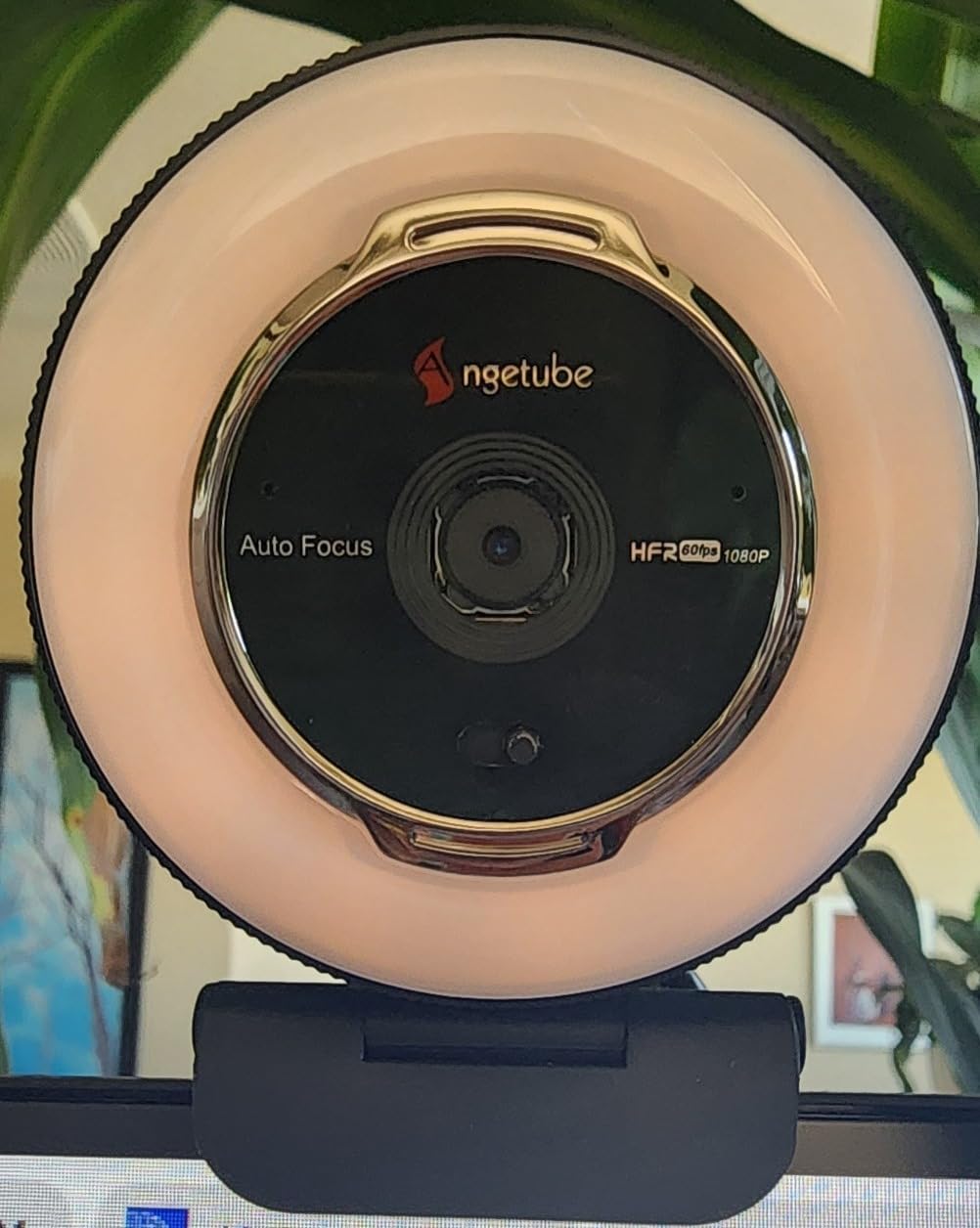 Angetube Streaming Webcam with Microphone: 1080P 60FPS USB Web Cam with Ring Light and Remote Control - HD Web Camera with 5X Digital Zoom Built in Privacy Cover,for PC|Computer|Laptop|Mac|Desktop customer photo 2