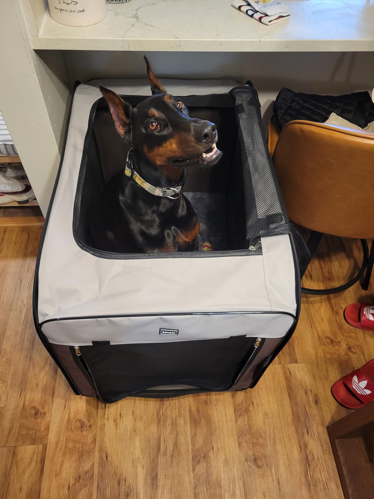 DONORO Dog Kennels and Crates for Medium Dogs, Portable Pop Up Indoor Pet Cage with Sturdy Wire Frame, Collapsible Travel Crate Soft Sided Cat Bag Escape Proof (Brown, 28.0
