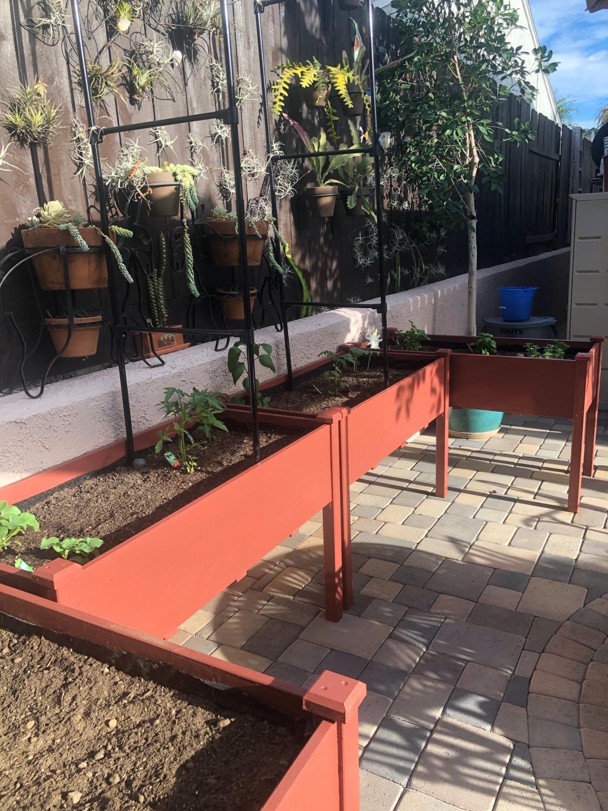 Yaheetech 2pcs Raised Garden Bed 48x24x30in Elevated Wooden Horticulture Planter Box with Legs Standing Growing Bed for Gardening/Backyard/Patio/Balcony, Wood customer photo 2