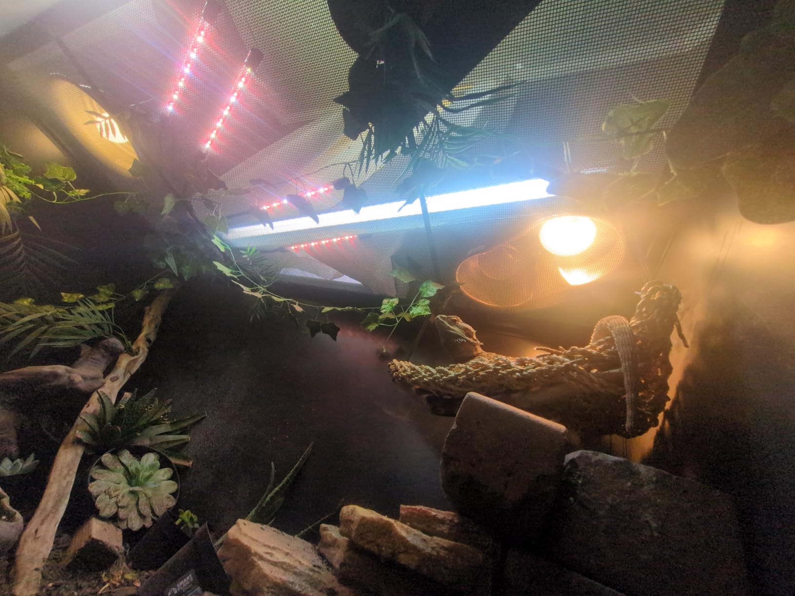 Arcadia T5 UVB Reptile Light Fixture Kit 36