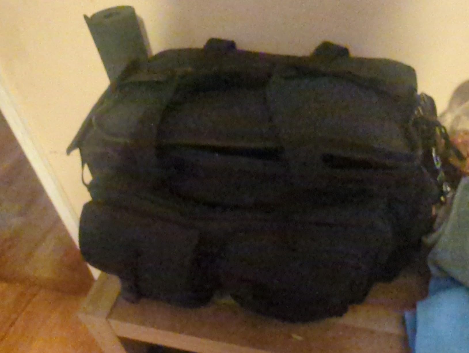 DSLEAF Tactical Pistol Range Bag with 4 Pistol Cases, Padded Gun Duffle Range Bag with 16X Magazine Slots and Extra Pockets for Ammo and Essentials (Patent Design) customer photo 1