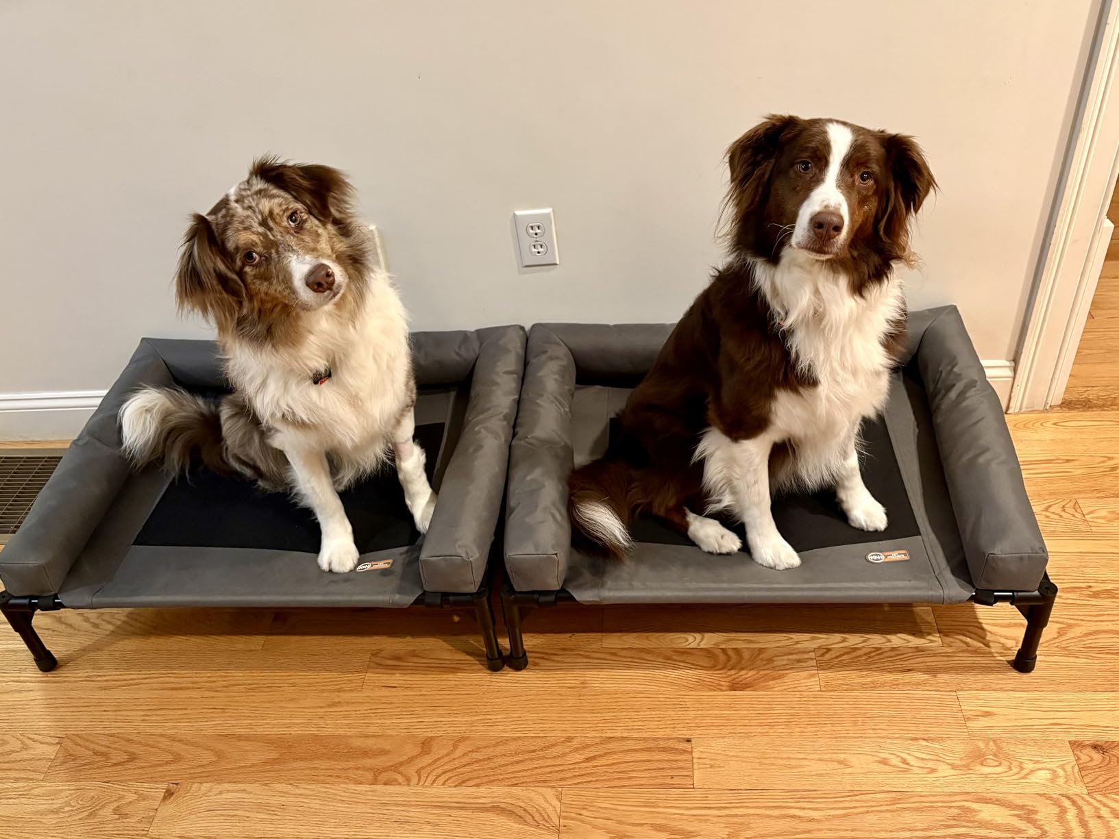 K&H Pet Products Bolster Dog Cot, Cooling Indoor Outdoor Elevated Cot Hammock Dog Bed with Removable Bolsters, Medium 32 X 25in Charcoal customer photo 1