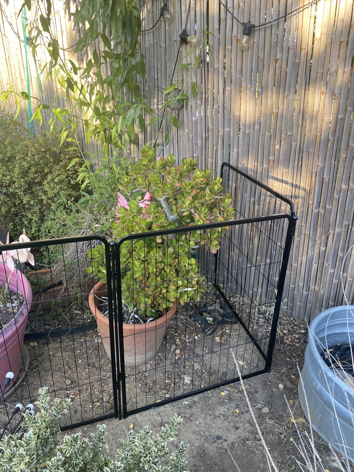 FXW Garden Fence Outdoor for the Yard - 40in(H) x 36.2ft(L) Heavy Duty Metal Animal Barrier for Dog, No Dig Decorative Dog Fence, 16 Panels, Black customer photo 2