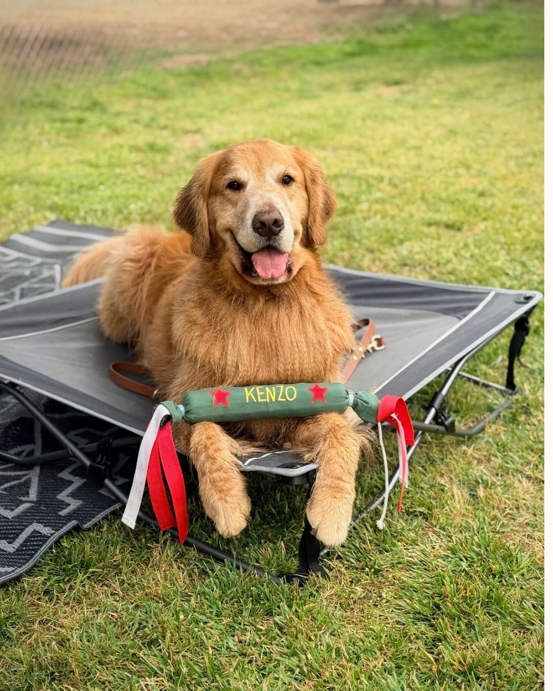 TIMBER RIDGE Outdoor Dog Bed, Cooling Elevated Pet Bed Portable Raised Dog Bed with Breathable Mesh, Foldable Dog Cot, Grey customer photo 1