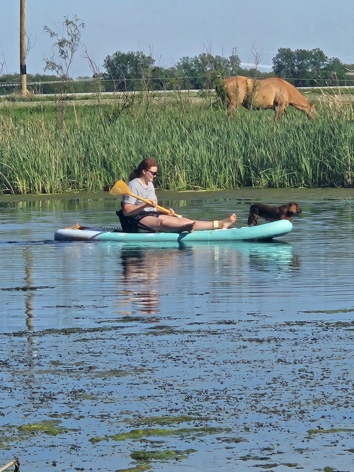HUIIKE Inflatable Paddle Board for Adults with Accessories Included, Oar, Fins, Pump. Stand Up Paddleboard Great Stability and Resistance. 10' x 33