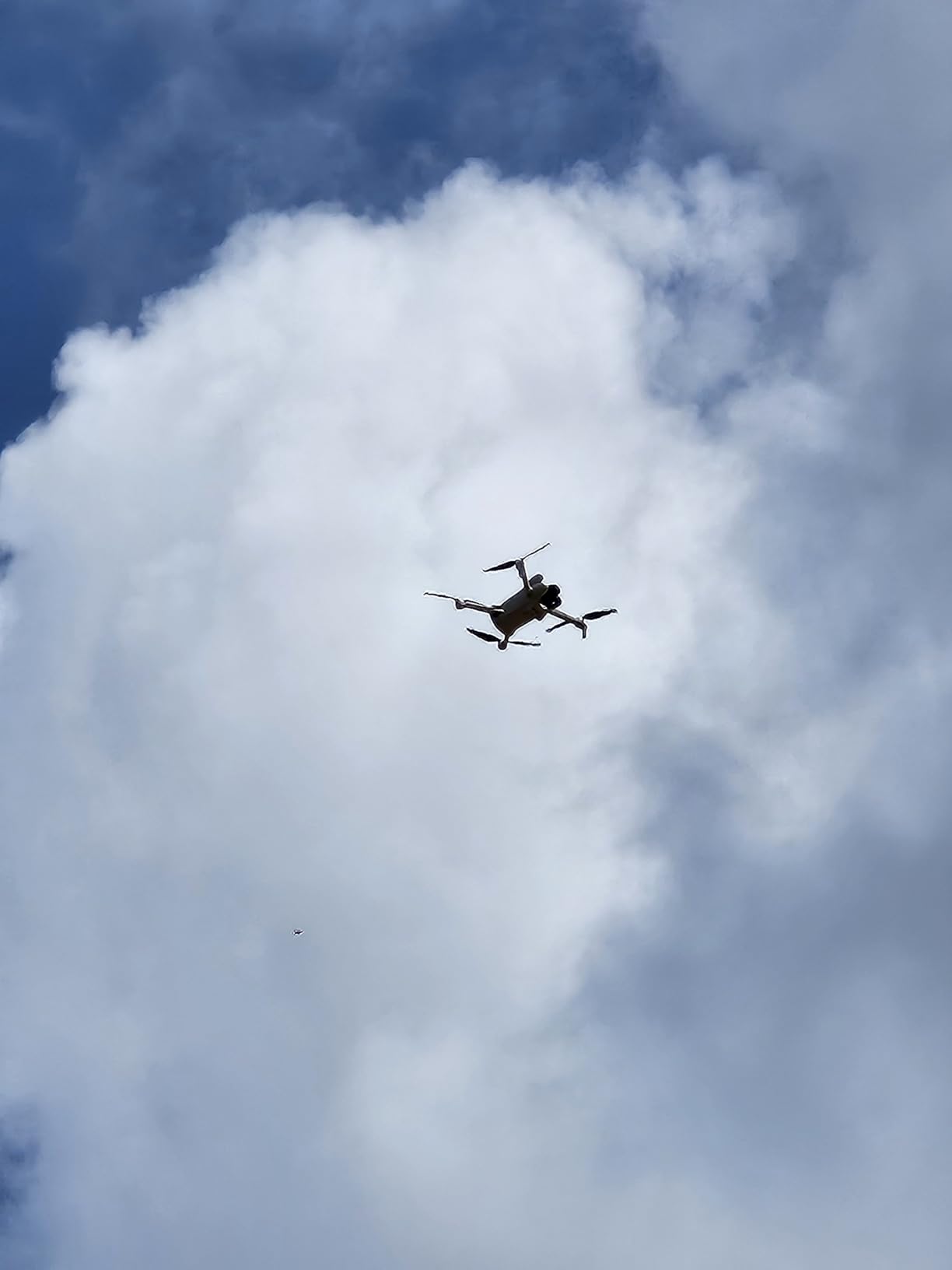 DJI Mini 3 Fly More Combo (DJI RC) customer photo 2