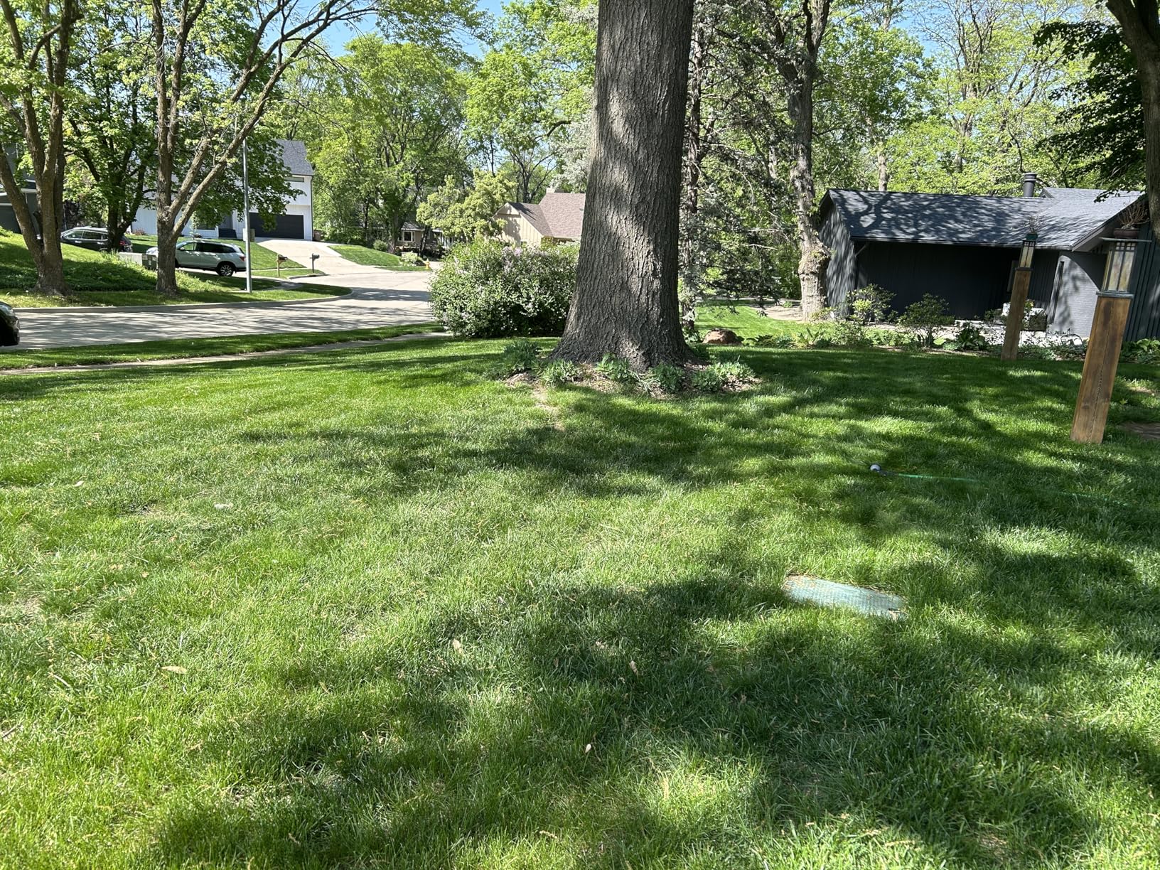EGO POWER+ Electric Lawn Mower, Cordless, Includes 56V 6.0Ah Battery And 320W Charger - LM2114 customer photo 2