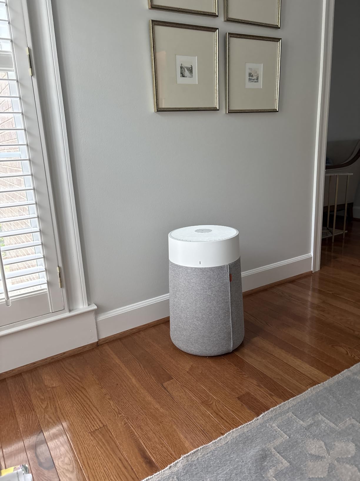 Blueair Blue Pure 311i Max Smart Air Purifier for Medium Rooms up to 2,107 Sq Ft, HEPASilent Air Cleaner for Pets, Allergies, Smoke & Dust, WiFi with Auto Mode customer photo 2