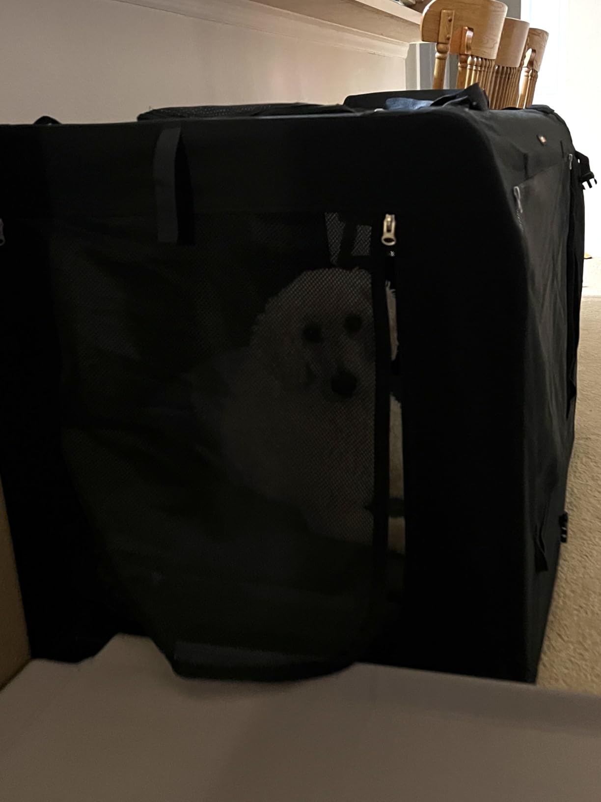 Feandrea 40 Inches Collapsible Soft Dog Crate, Portable Travel Dog Crate for Indoor and Outdoor Use, Dog Carrier Kennel with Safety Zippers, for Living Room, Car, Travelling, Camping, Black UPDC10H customer photo 1