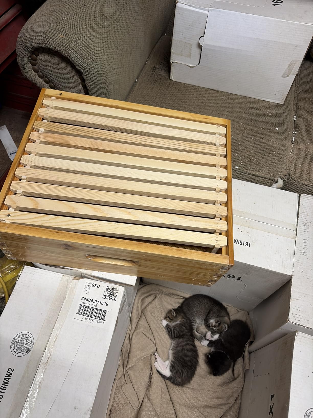 VINGLI 10-Frame Bee Hive, Wax Coated Beehive Starter Kit with Frames & Beeswax Coated Foundation Sheets (3 Layer) customer photo 1