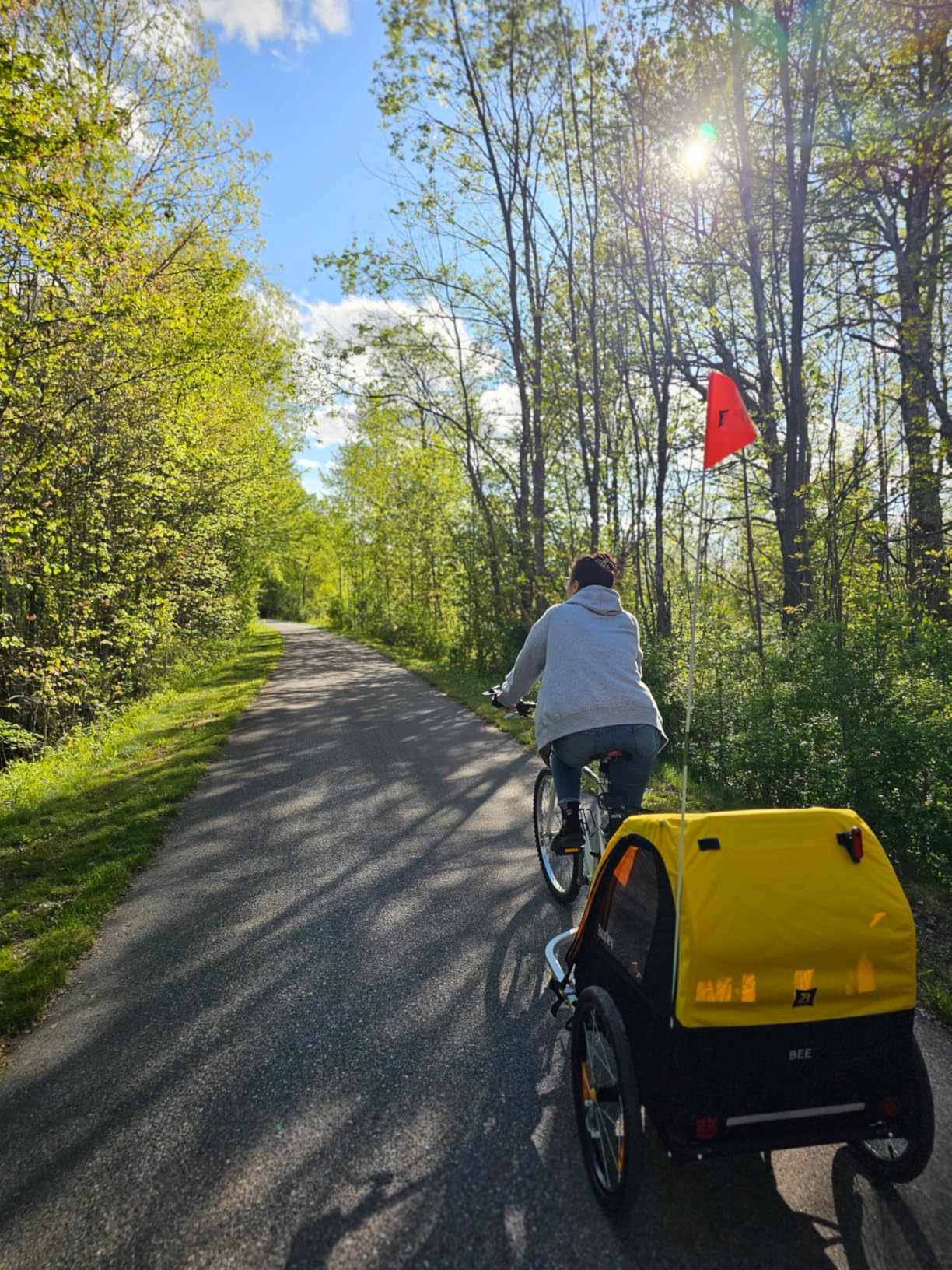 Burley Bee, 1 and 2 Seat, Lightweight, Kids Bike-Only Trailer customer photo 1