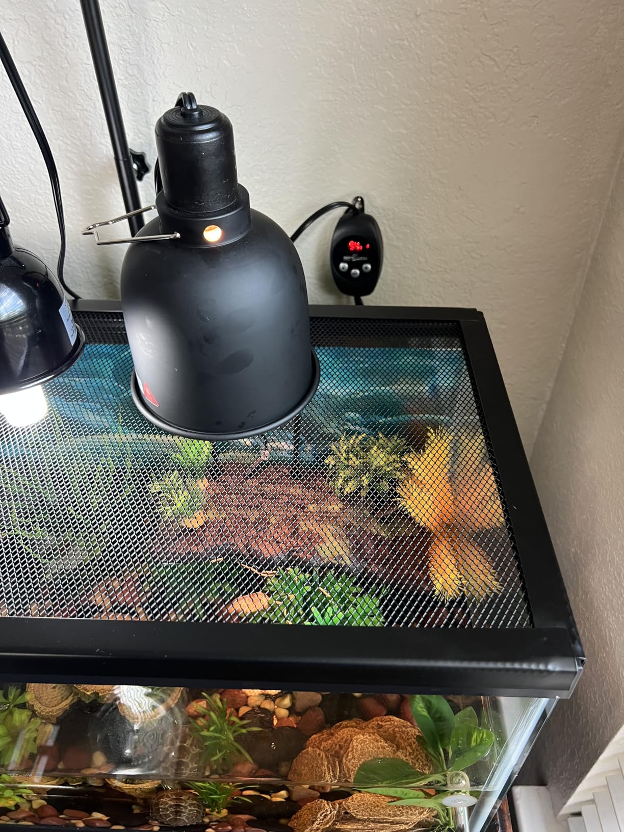 REPTI ZOO Reptile Light Fixture with Dimming Thermostat, 5.5 Inch Deep Dome Lamp Fixture with Temperature Controller for Reptile Heat Lamp Bulb, Max 100W customer photo 1