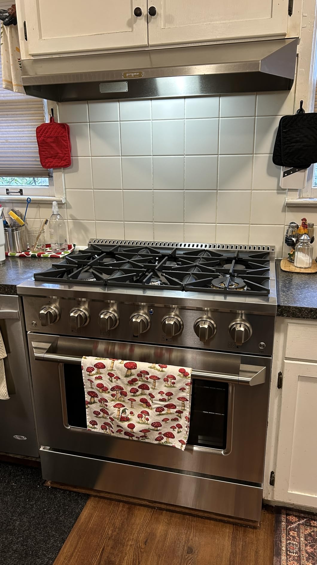 Gas Range with 4 Burner Cooktop Freestanding with Porcelain Convection Oven and Broil Function, Continuous Grates with Stainless Steel Construction, 30-Inch, Metallic customer photo 1