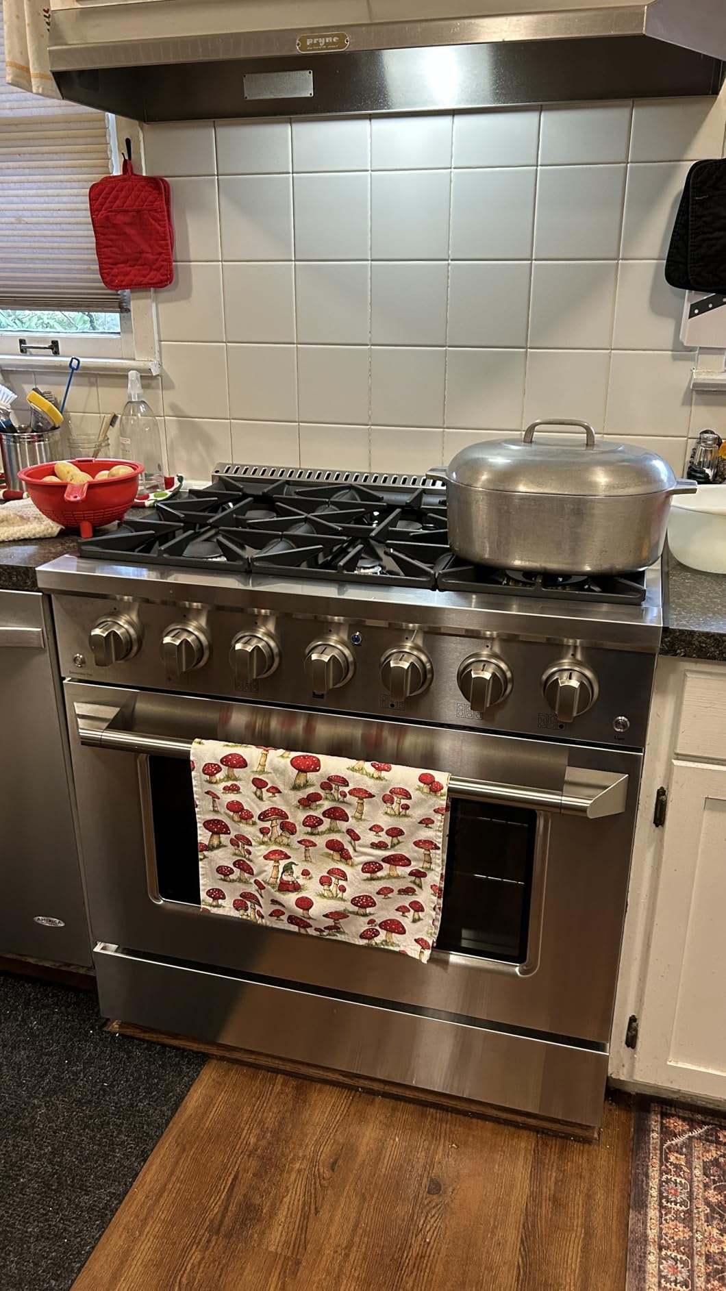 Gas Range with 4 Burner Cooktop Freestanding with Porcelain Convection Oven and Broil Function, Continuous Grates with Stainless Steel Construction, 30-Inch, Metallic customer photo 2