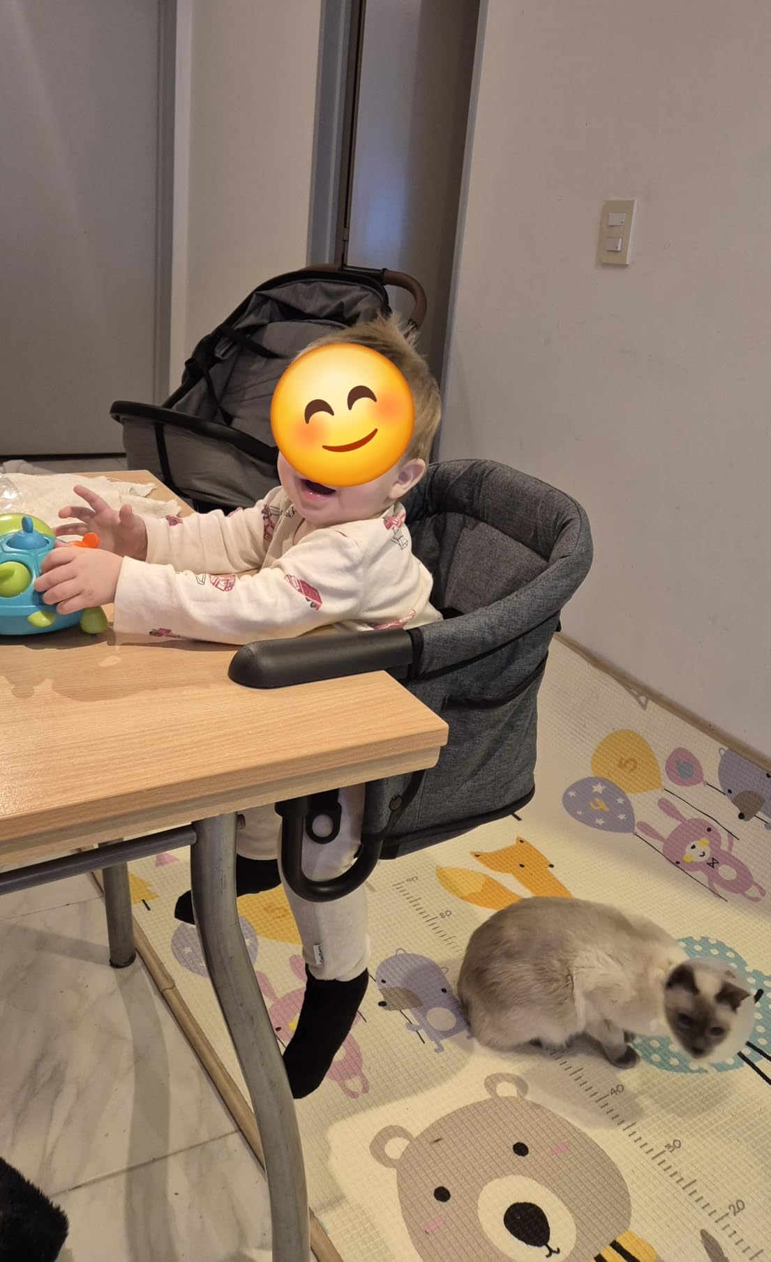 Hook-On Chairs - Portable & Foldable for Babies 6-36 Months, Family & Travel Use with Carry Bag (Grey) customer photo 2
