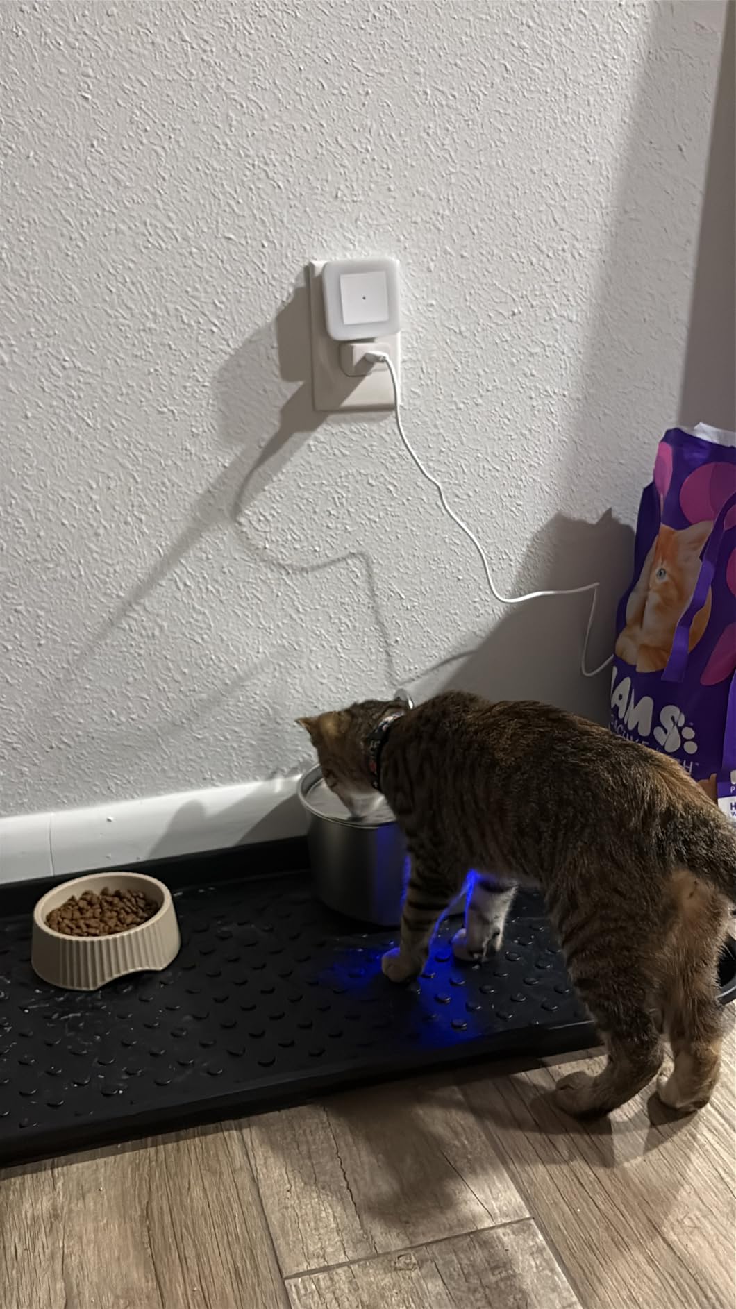 Cat Water Fountain Stainless Steel: 109oz/3.2L Cat Fountain for Drinking - Pet Water Fountain Inside - Automatic Dog Watering Dispenser Bowl - Pet Feeding & Watering Supplies - Water Level Window customer photo 1