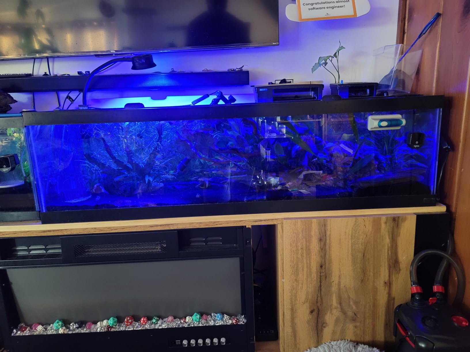 hygger 30 Watts Aquarium LED Reef Light, Dimmable Full Spectrum Marine LED Fish Tank Light Saltwater Nano Aquarium LPS SPS Lighting customer photo 2