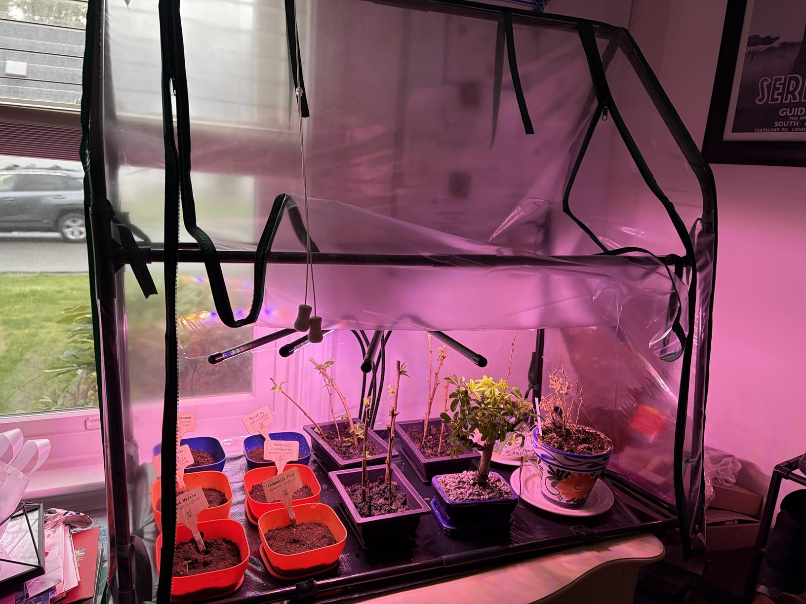 Mini Greenhouse for Indoor Outdoor: Ohuhu Tabletop Portable Green House with Waterproof Pad for Small Plants Nursery Germination, 36
