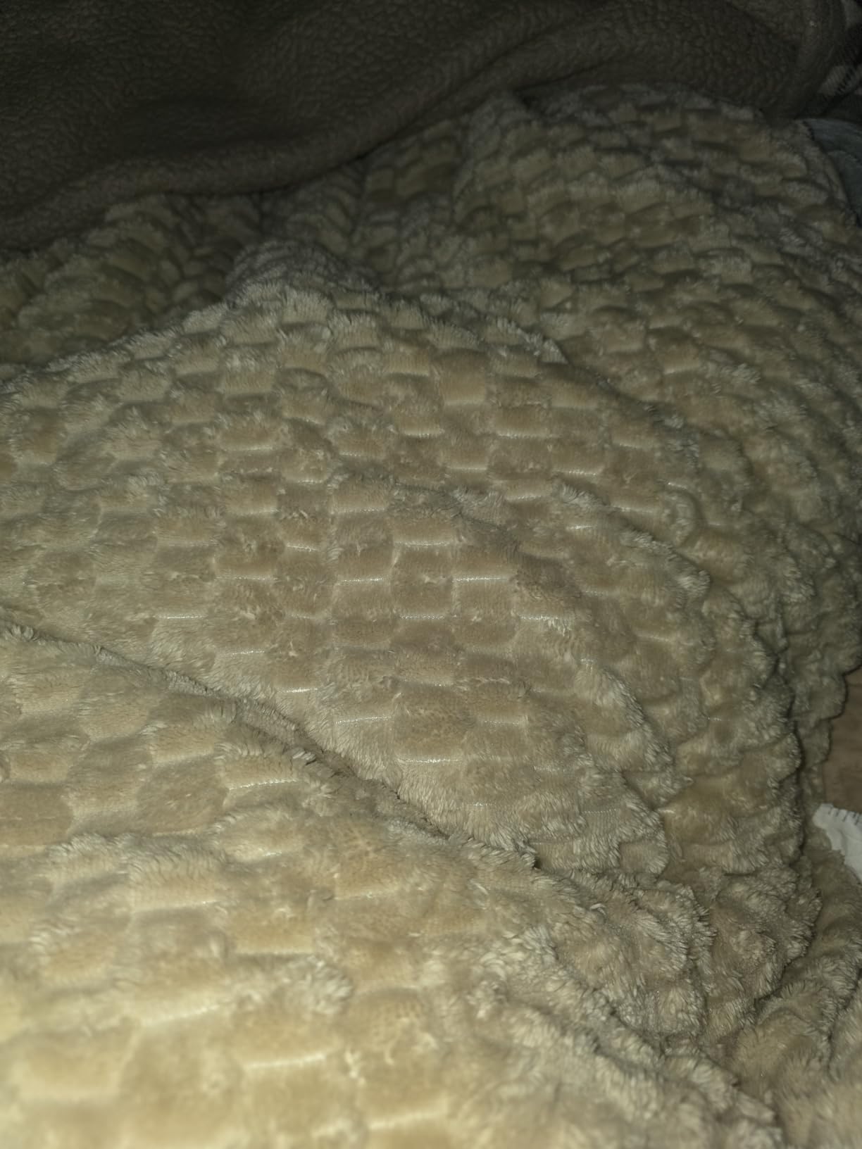 Weighted Blanket Queen Size 15lbs, Classy Soft Jacquard Sherpa Weighted Blankets for Sleep Natural and Calming, Fluffy Cozy Sofa Bed Blanket for Winter, Beige, 60 x 80 inches customer photo 1