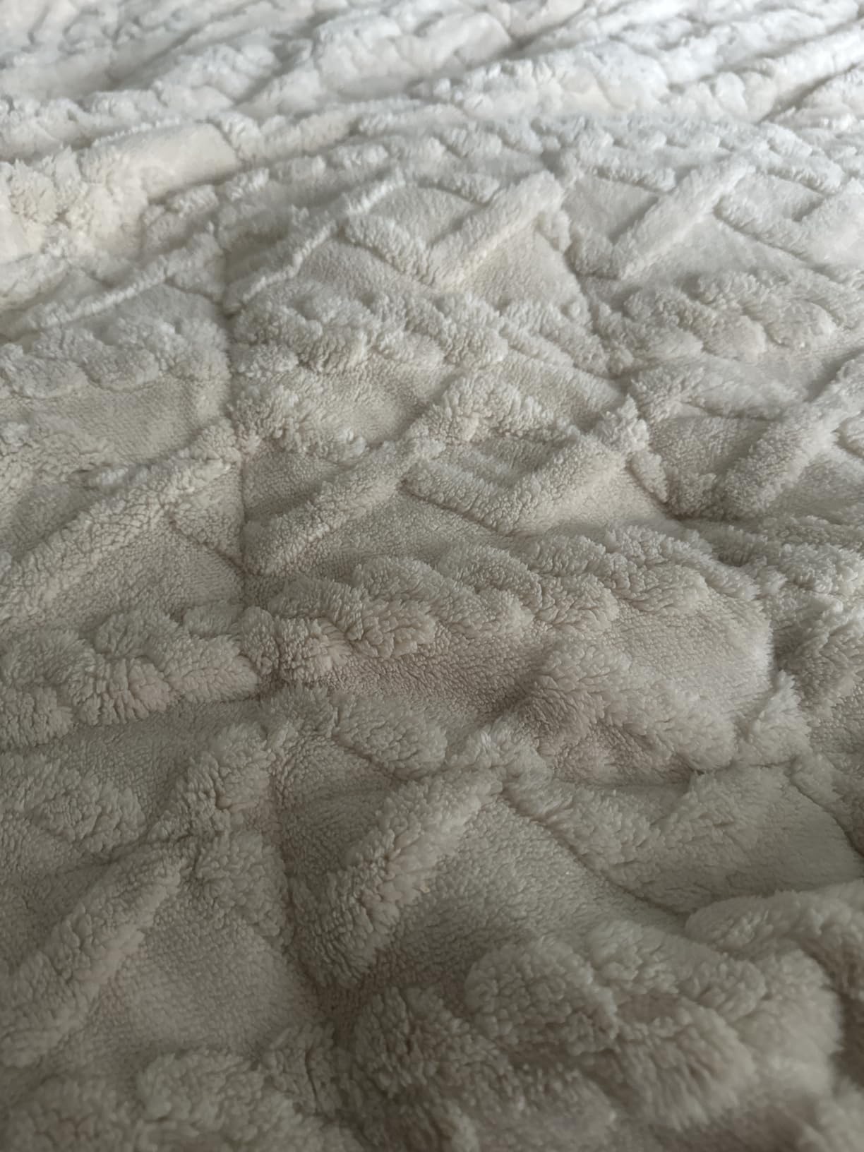Weighted Blanket Queen Size 15lbs, Classy Soft Jacquard Sherpa Weighted Blankets for Sleep Natural and Calming, Fluffy Cozy Sofa Bed Blanket for Winter, Beige, 60 x 80 inches customer photo 2