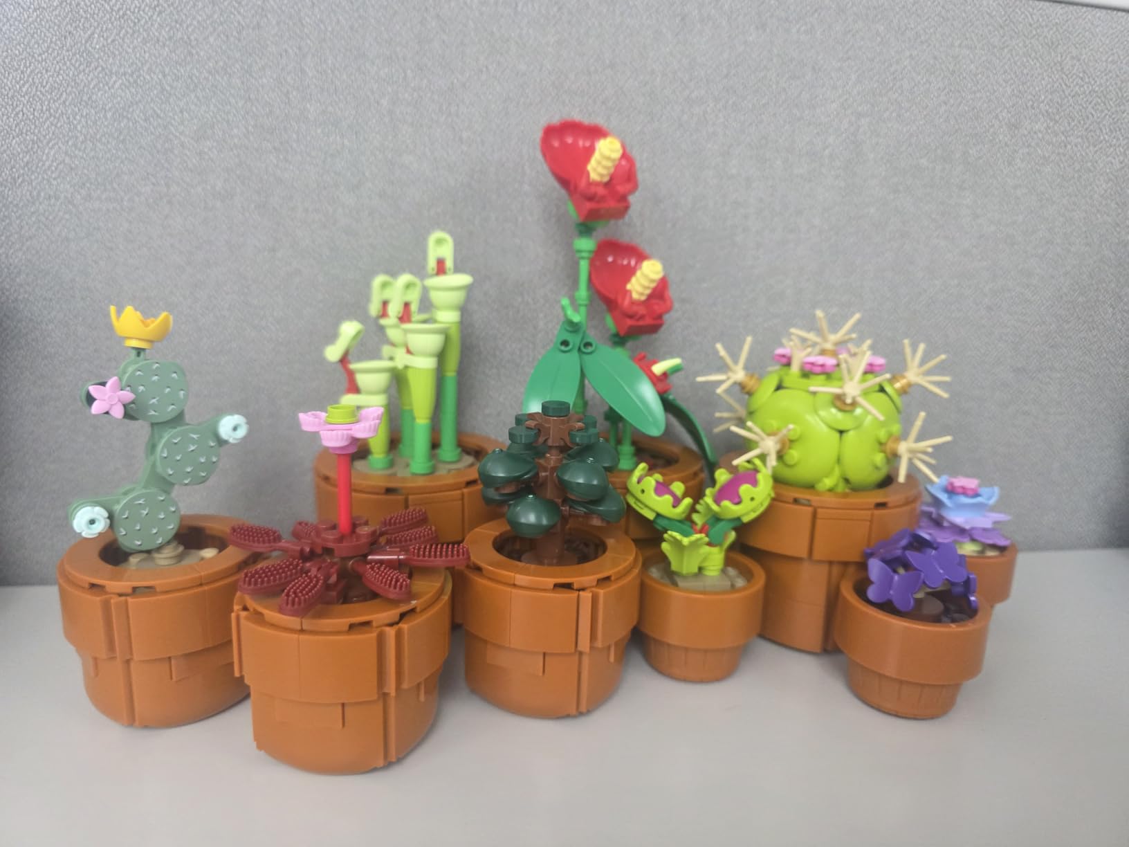 LEGO Botanicals Tiny Plants - Indoor Plant Building Set for Adults, Ages 18+ (10329) customer photo 2