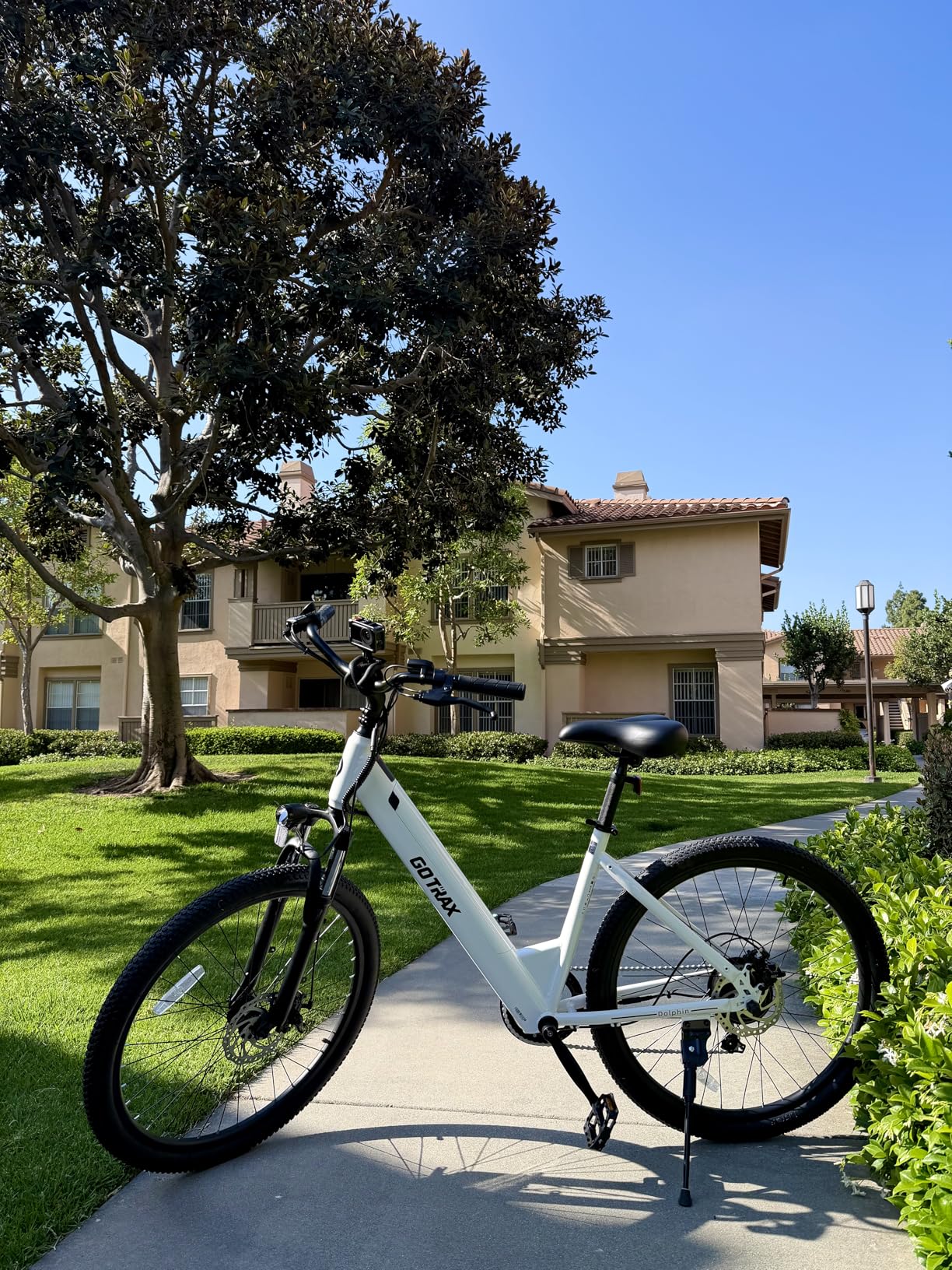 Gotrax Dolphin 26