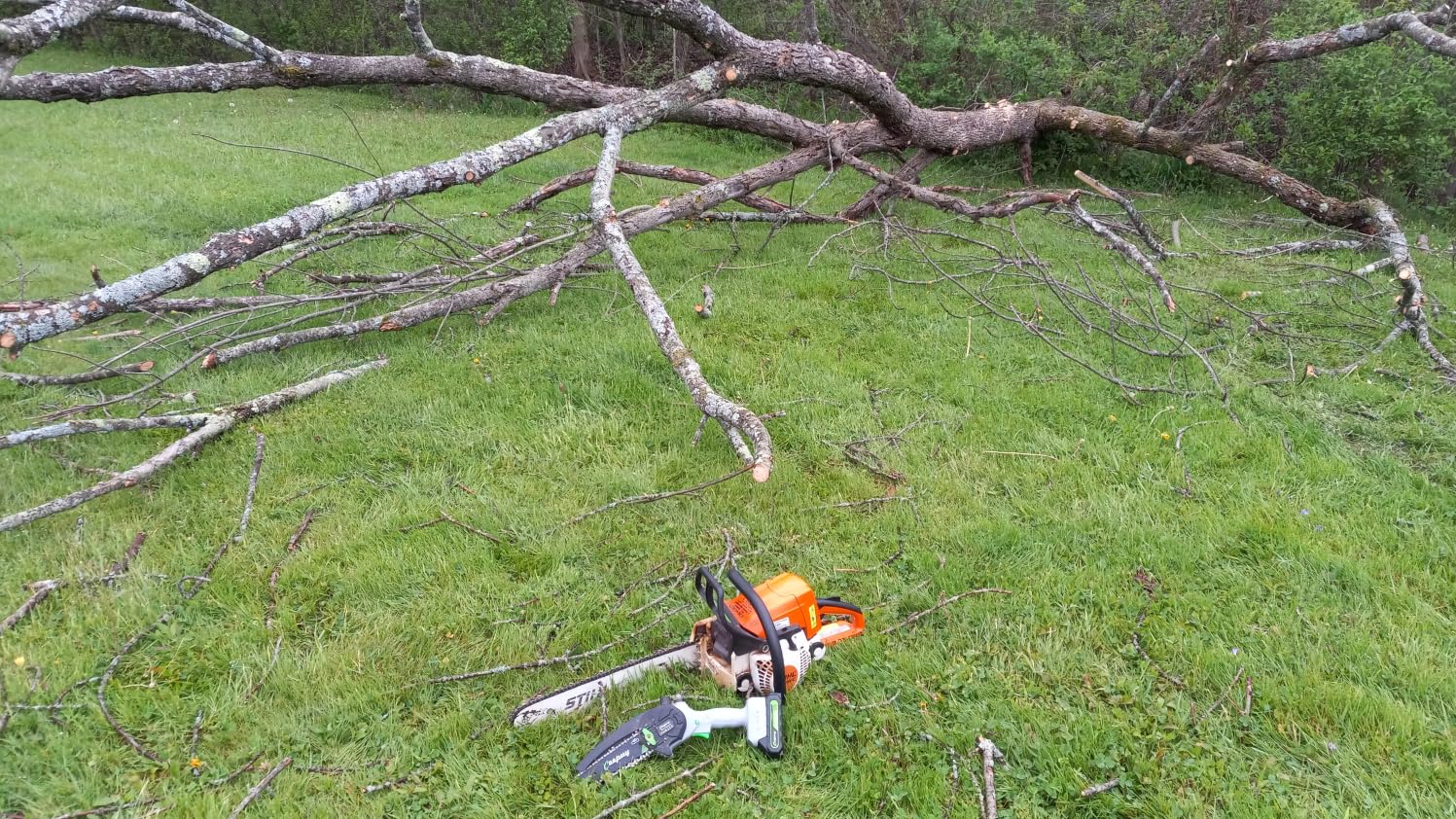 CEEPUY Mini Chainsaw Cordless, 6 Inch Portable Electric Chainsaw with Automatic Oiler/Security Lock/Battery Powered Small Handheld Saw for Trees Branches Trimming, Wood Cutting customer photo 2