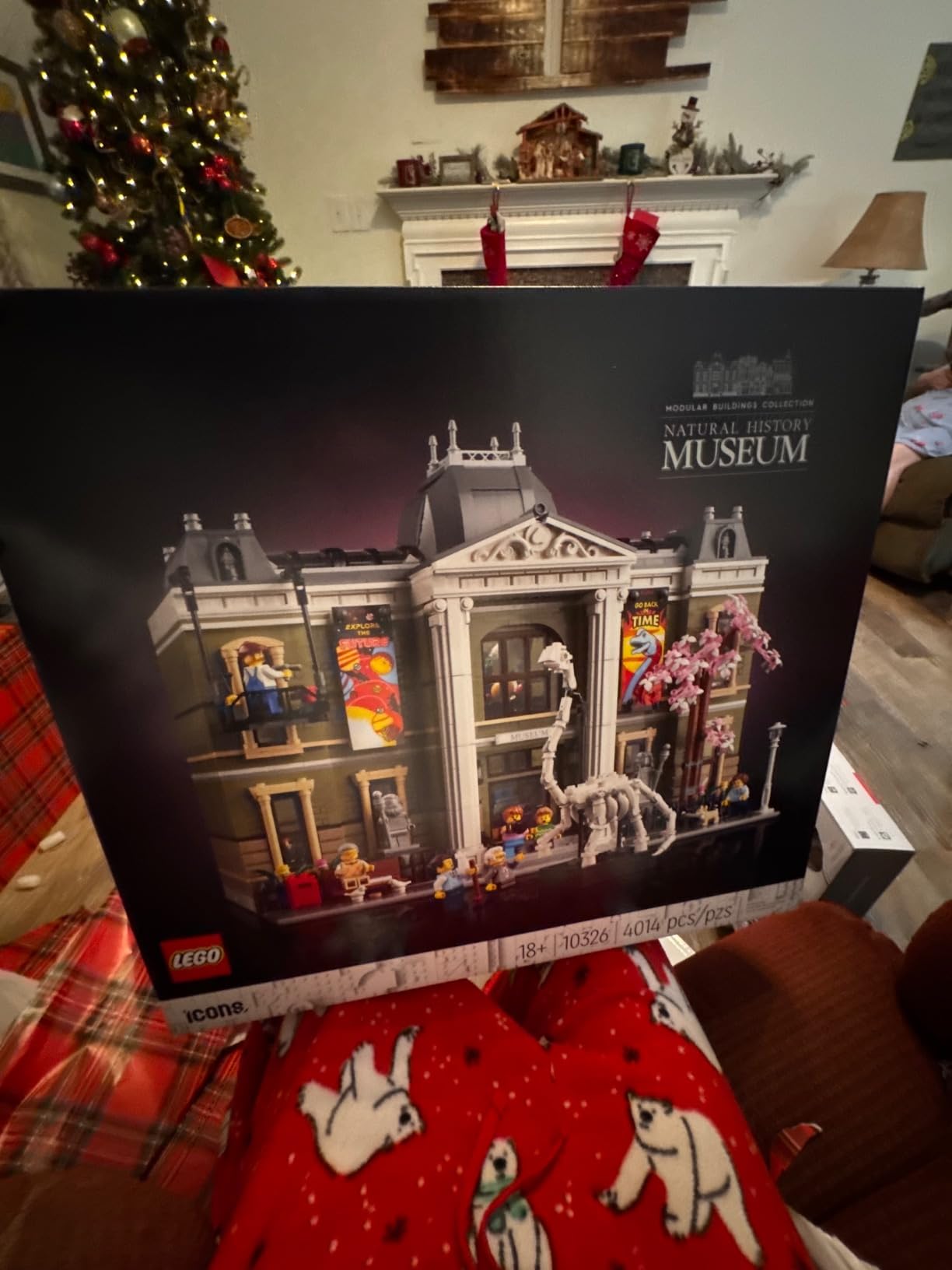 LEGO Icons Natural History Museum Building Kit for Adults, Build and Display Gift Idea for Lovers of Museums, Dinosaurs, Science and Geology, Addition to The Modular Buildings Collection, 10326 customer photo 1